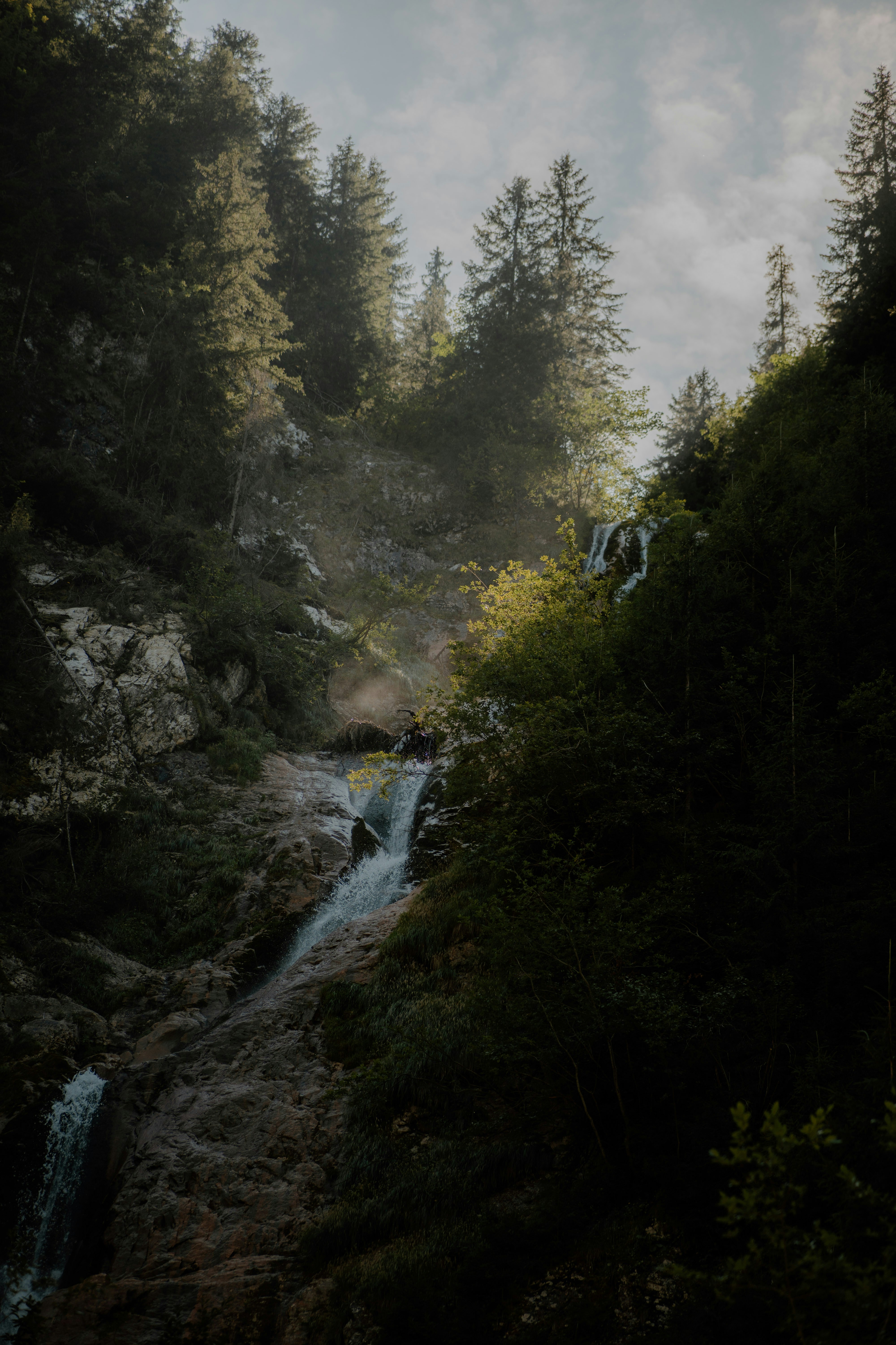 Photo by luisgherasim