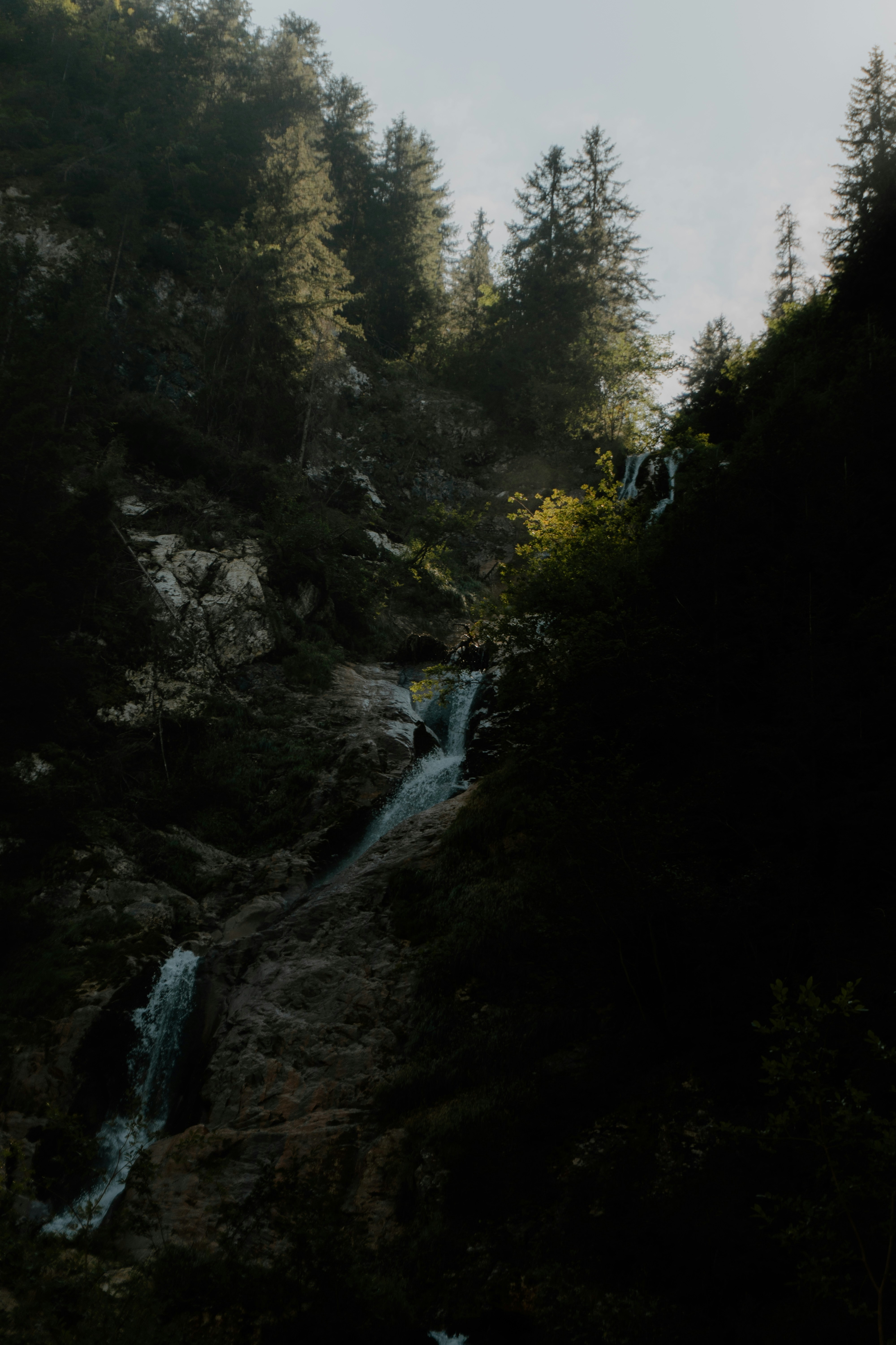 A waterfall in the middle of a forest