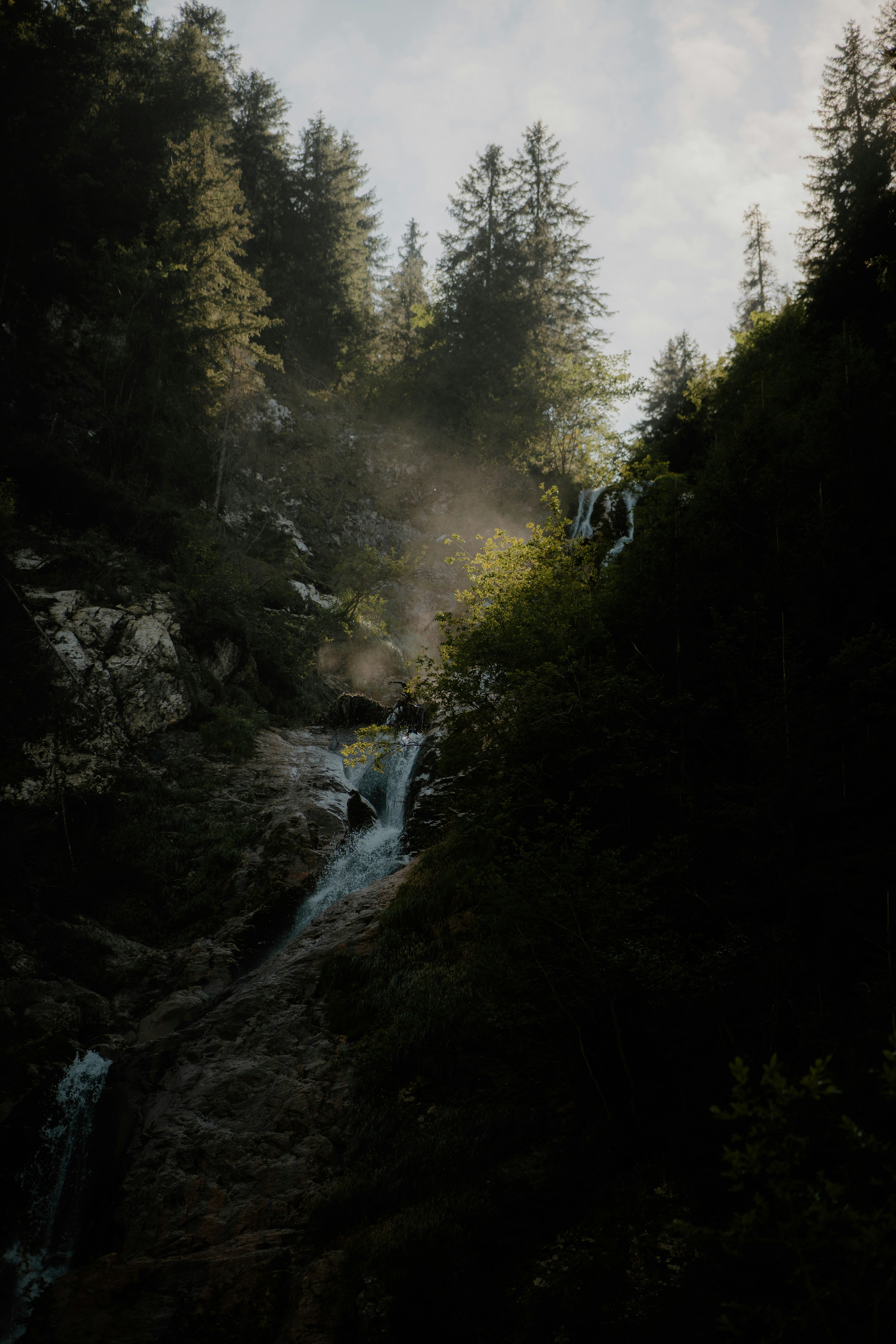 A waterfall in the middle of a forest