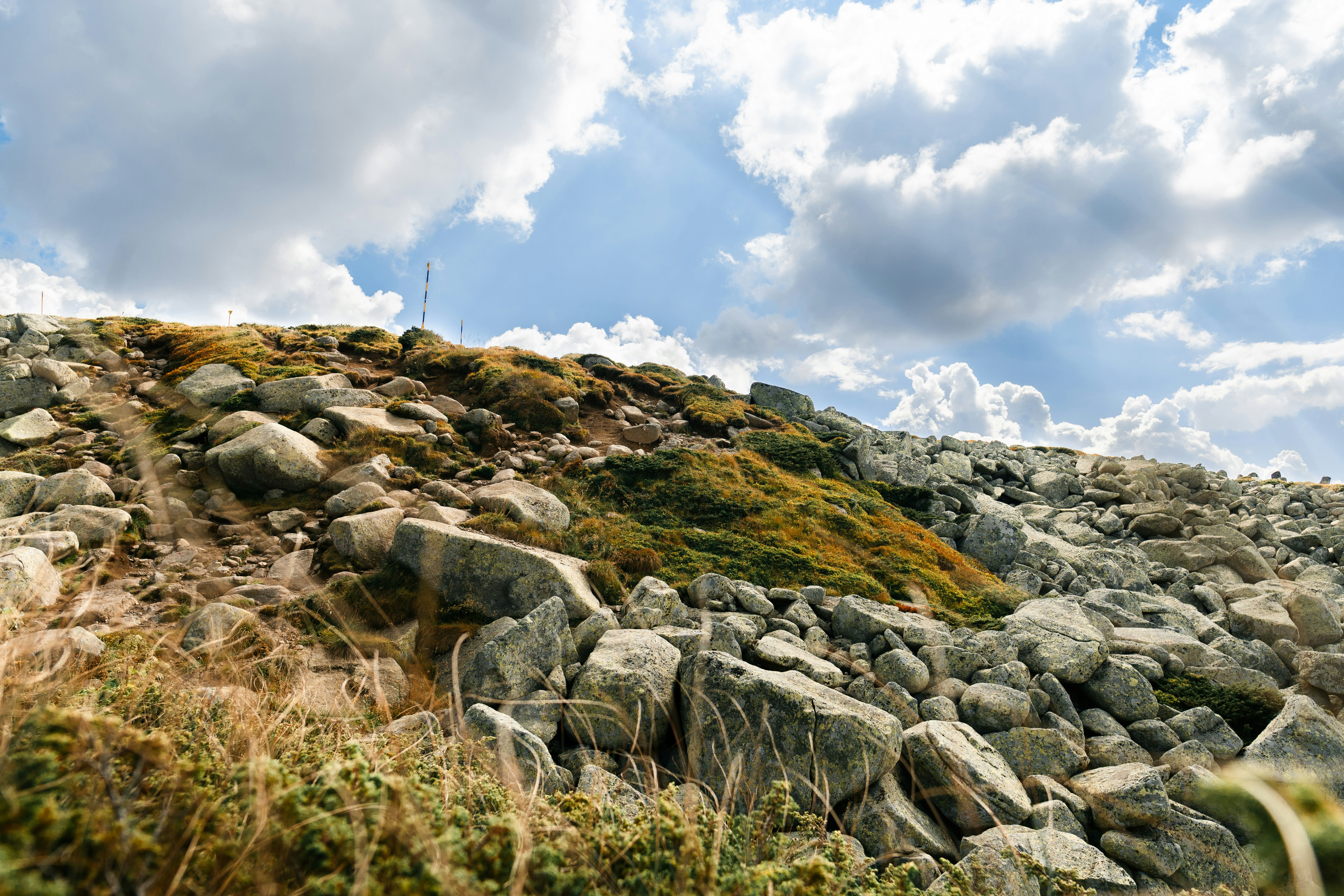 Photo by kristiqnspasov19