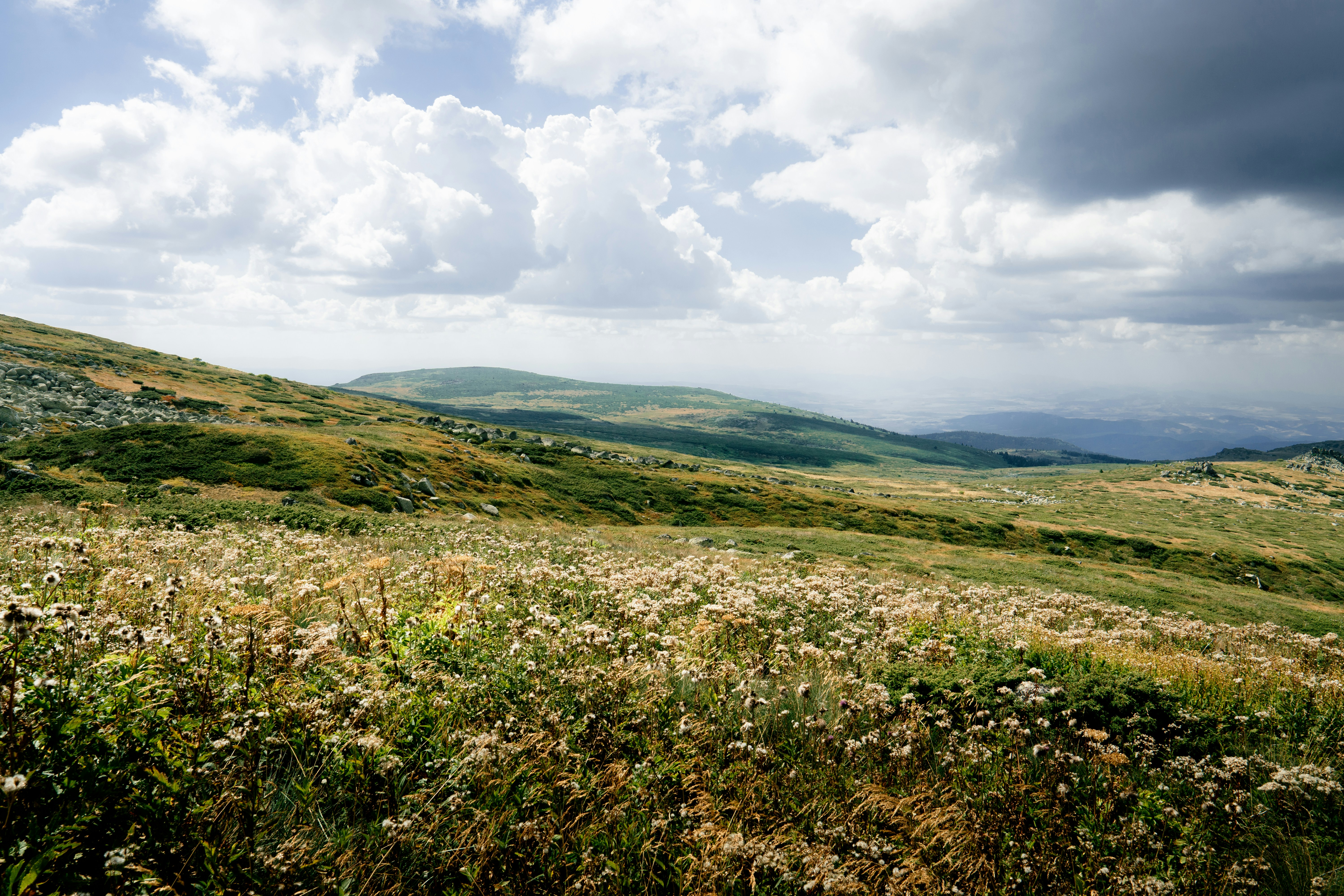 Photo by kristiqnspasov19