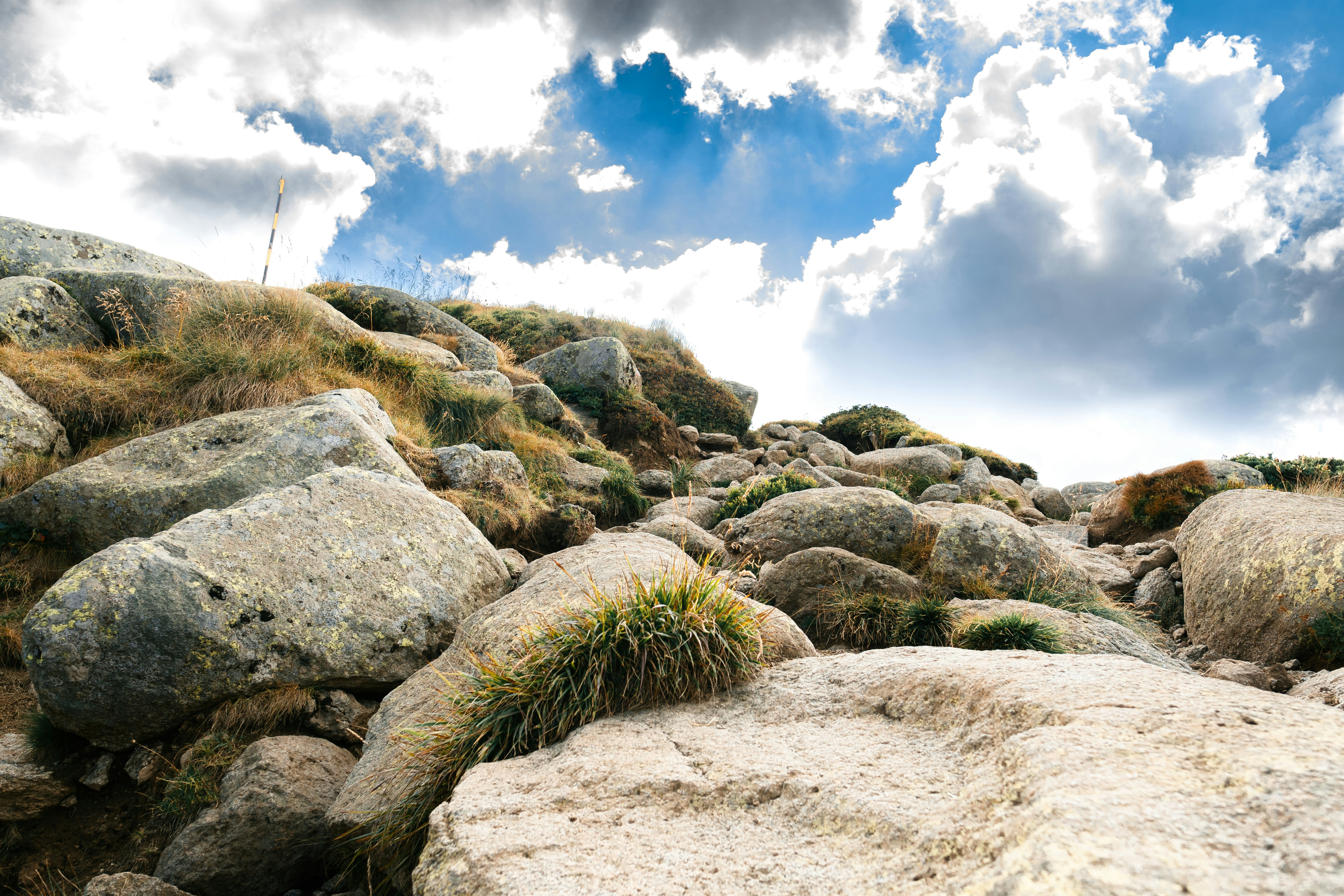 Photo by kristiqnspasov19