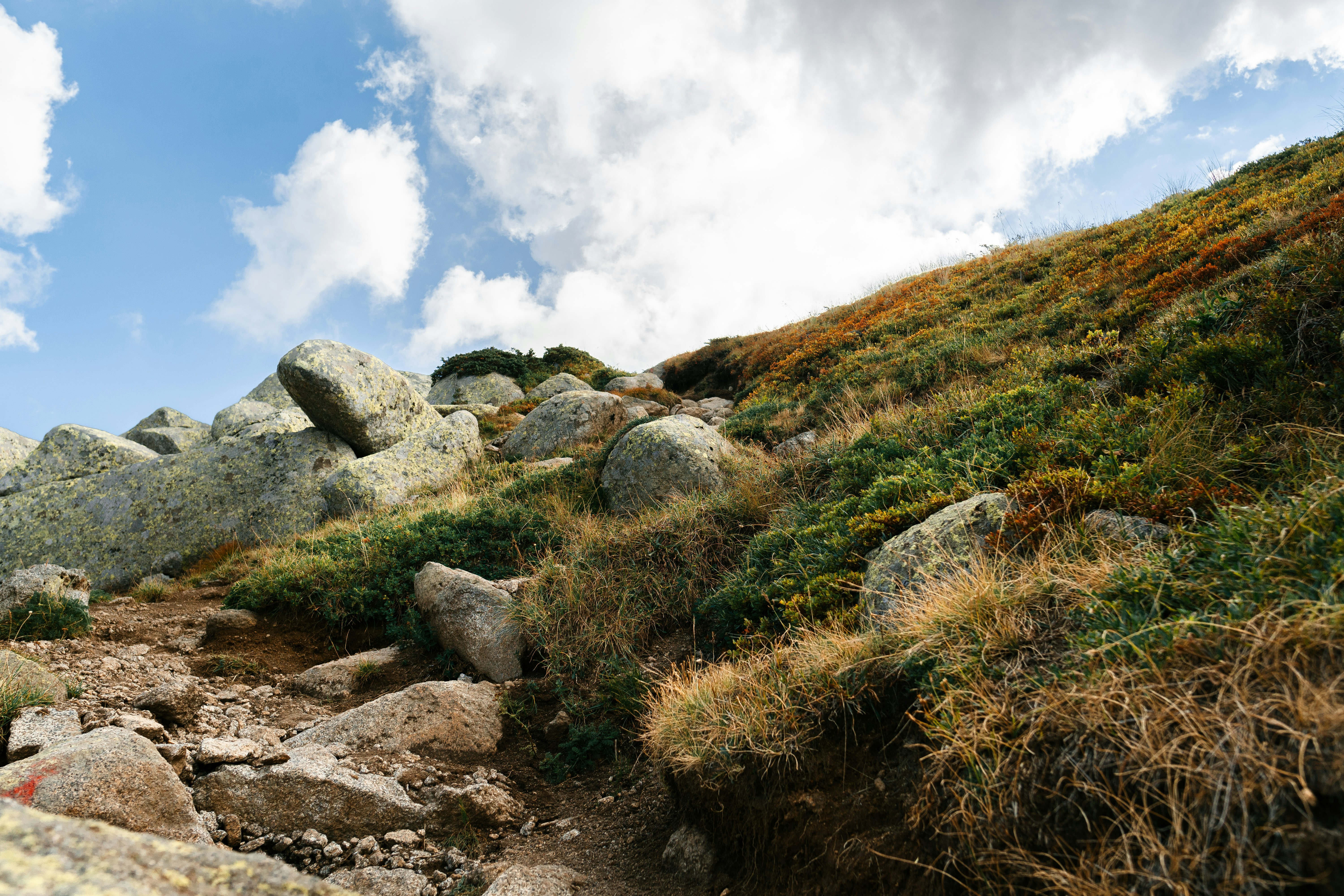 Photo by kristiqnspasov19