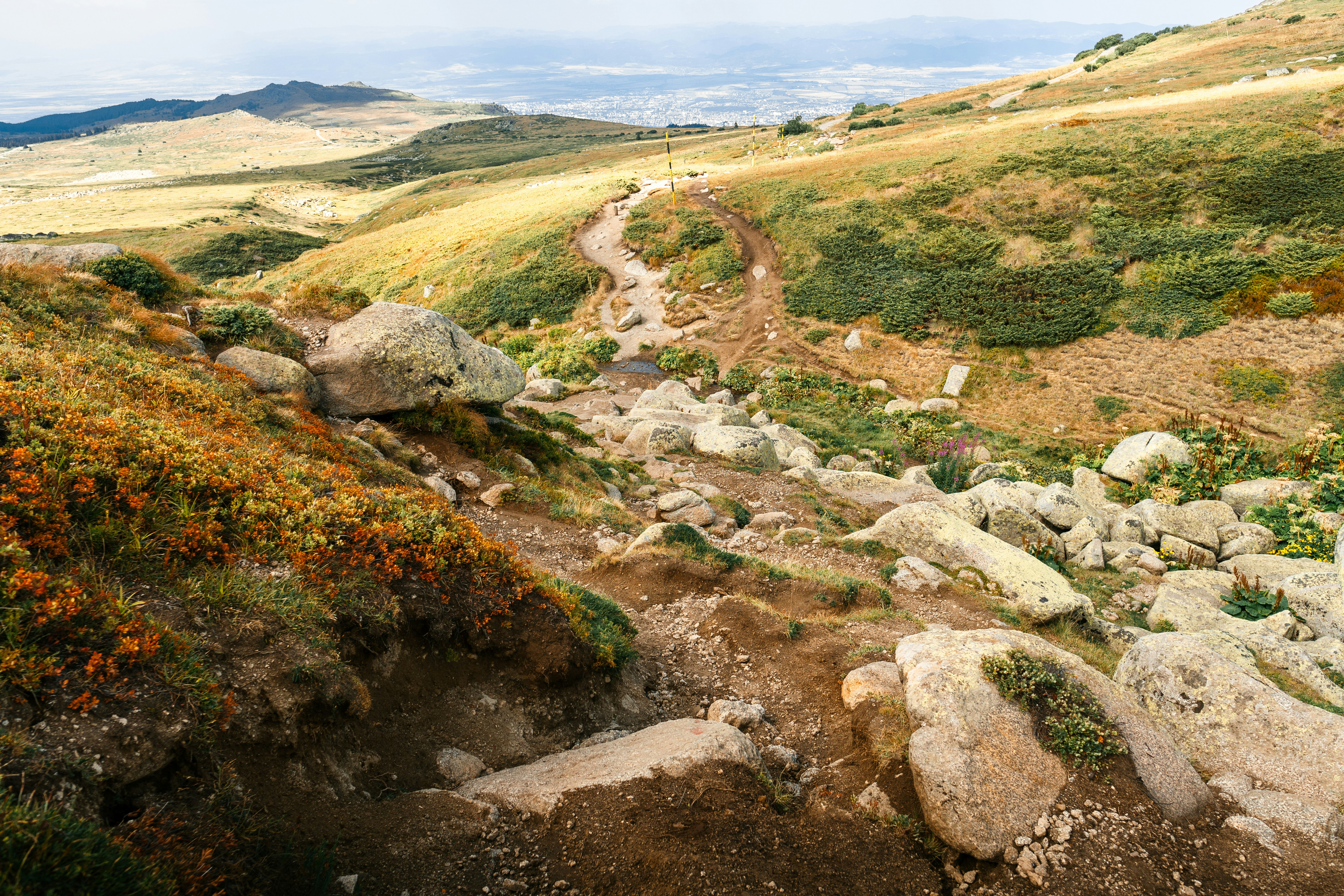 Photo by kristiqnspasov19