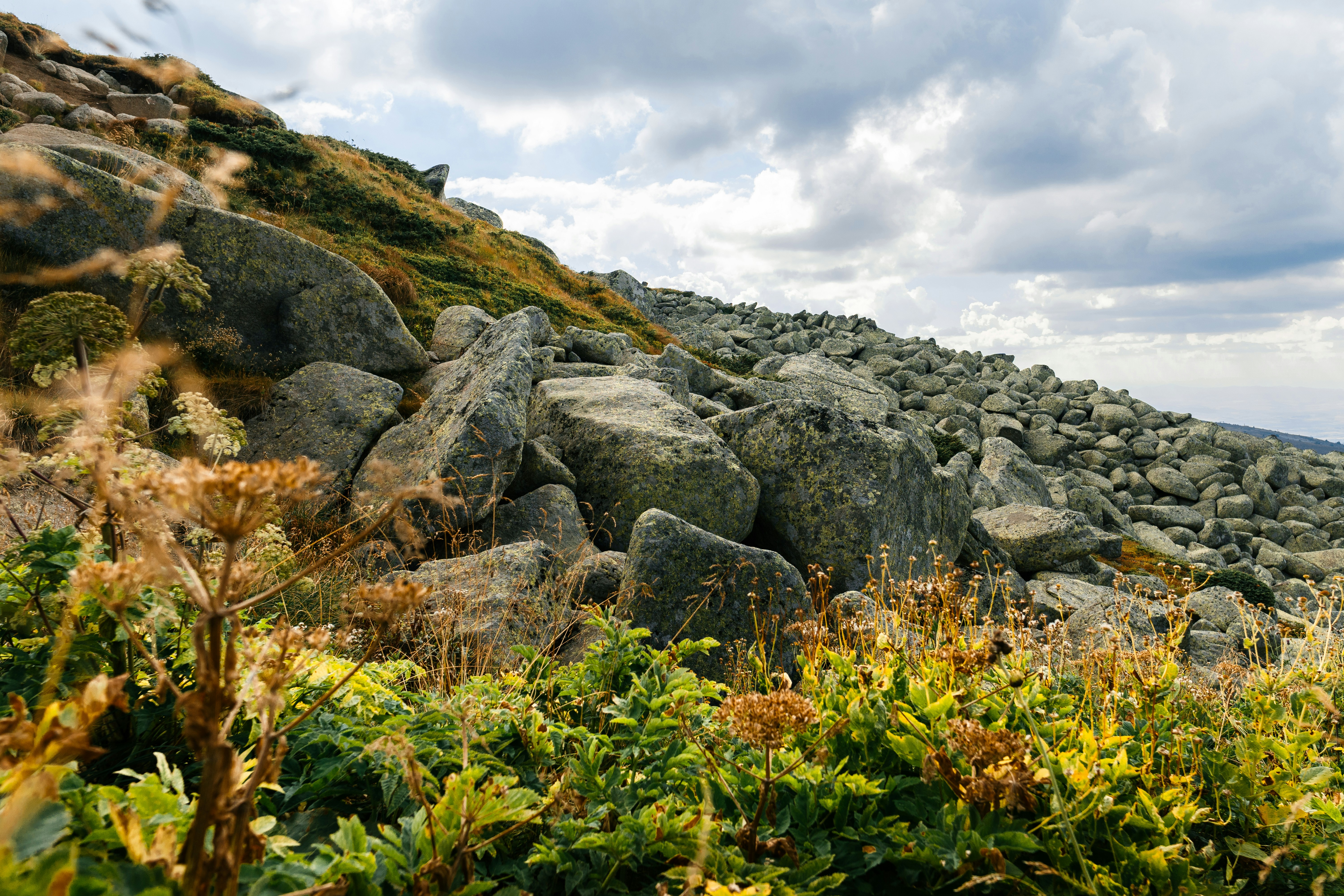 Photo by kristiqnspasov19