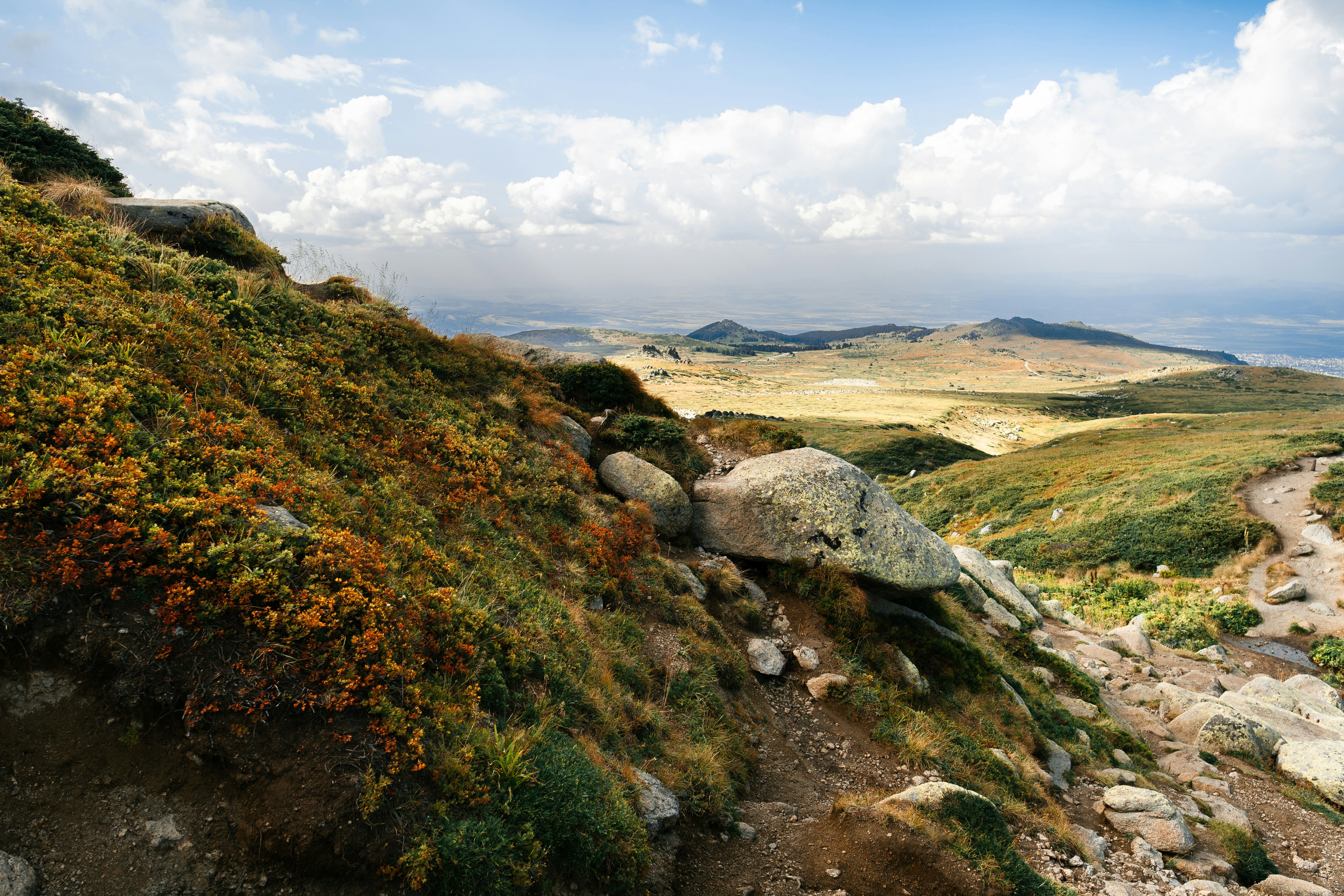 Photo by kristiqnspasov19