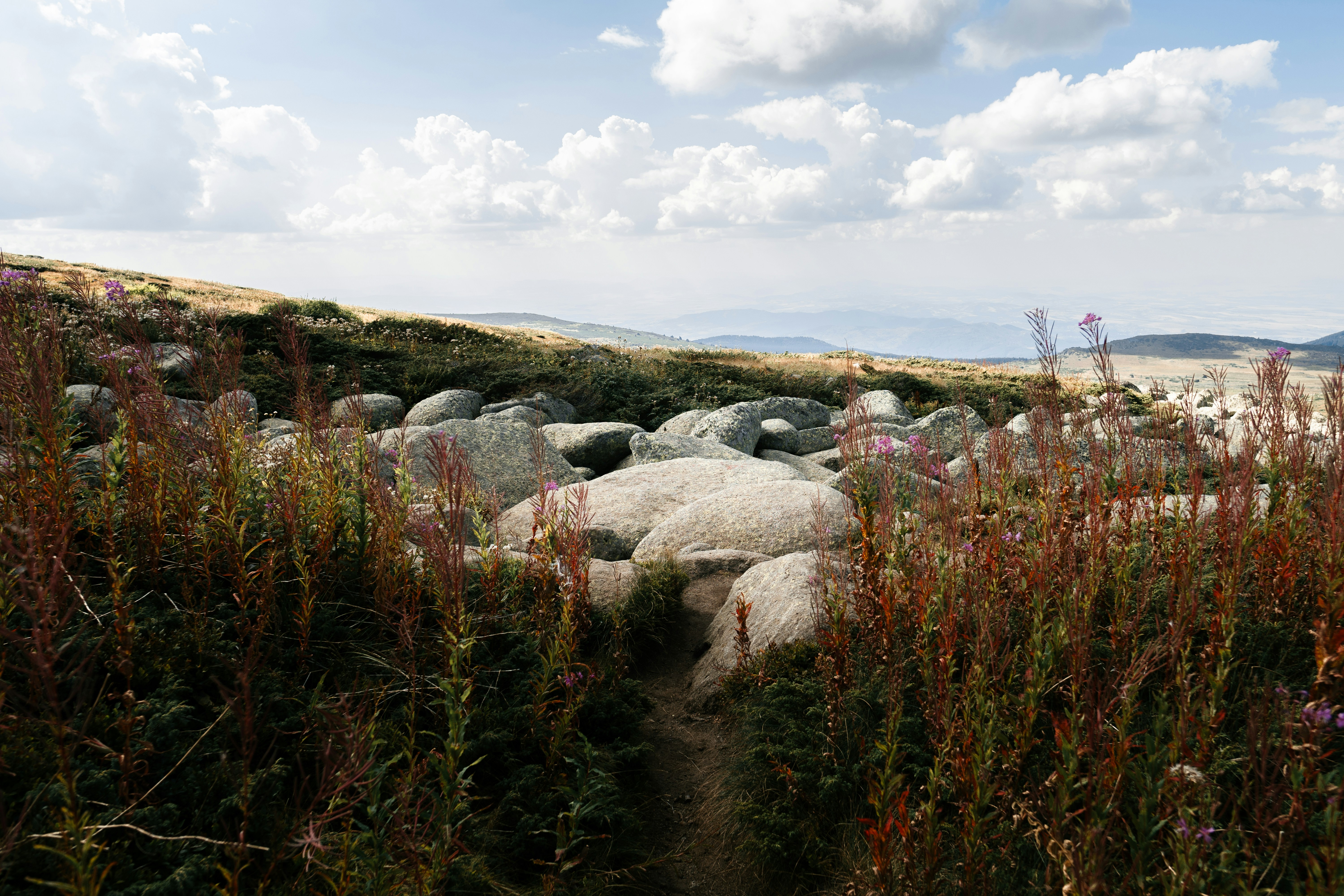 Photo by kristiqnspasov19