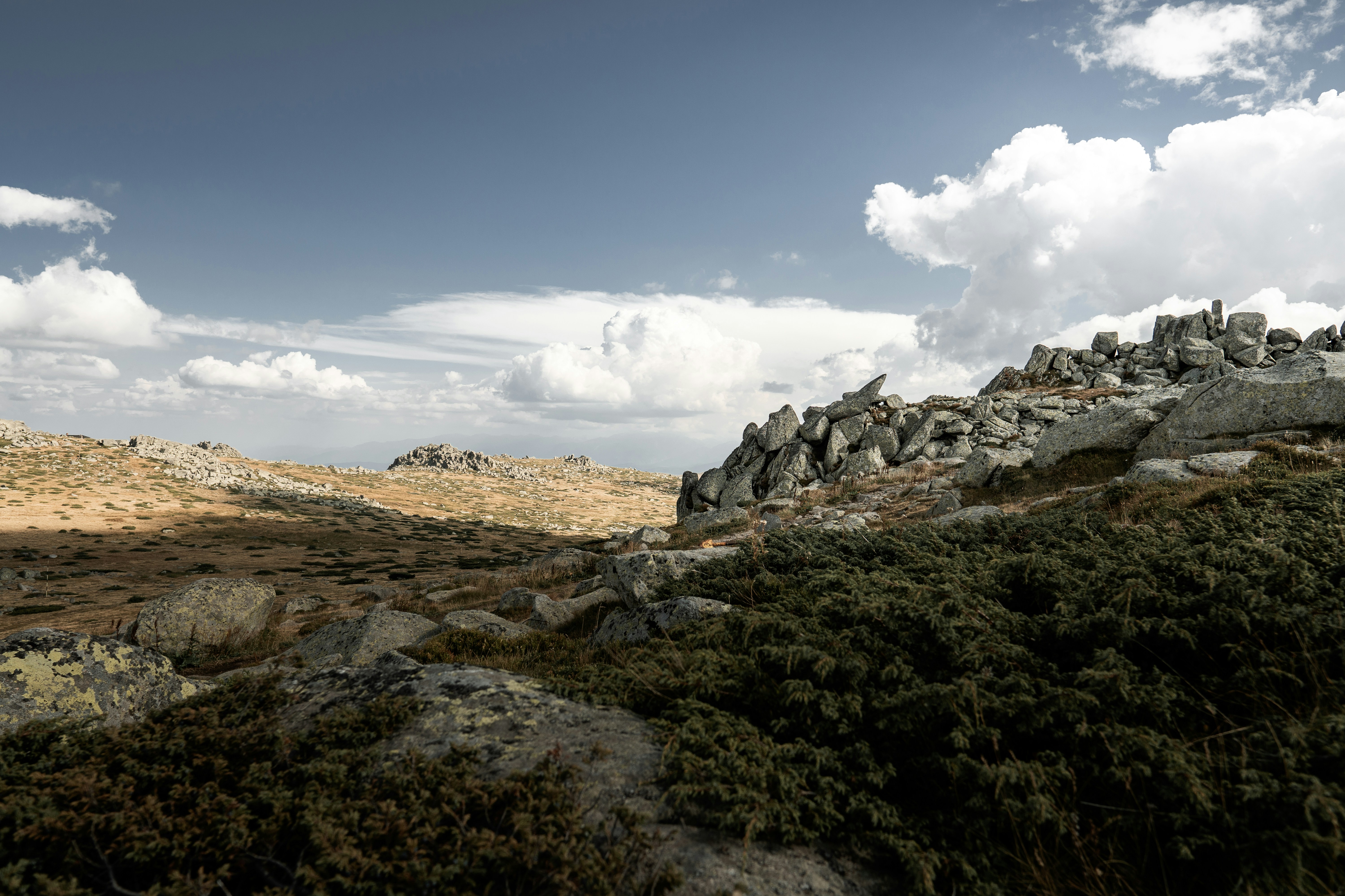 Photo by kristiqnspasov19