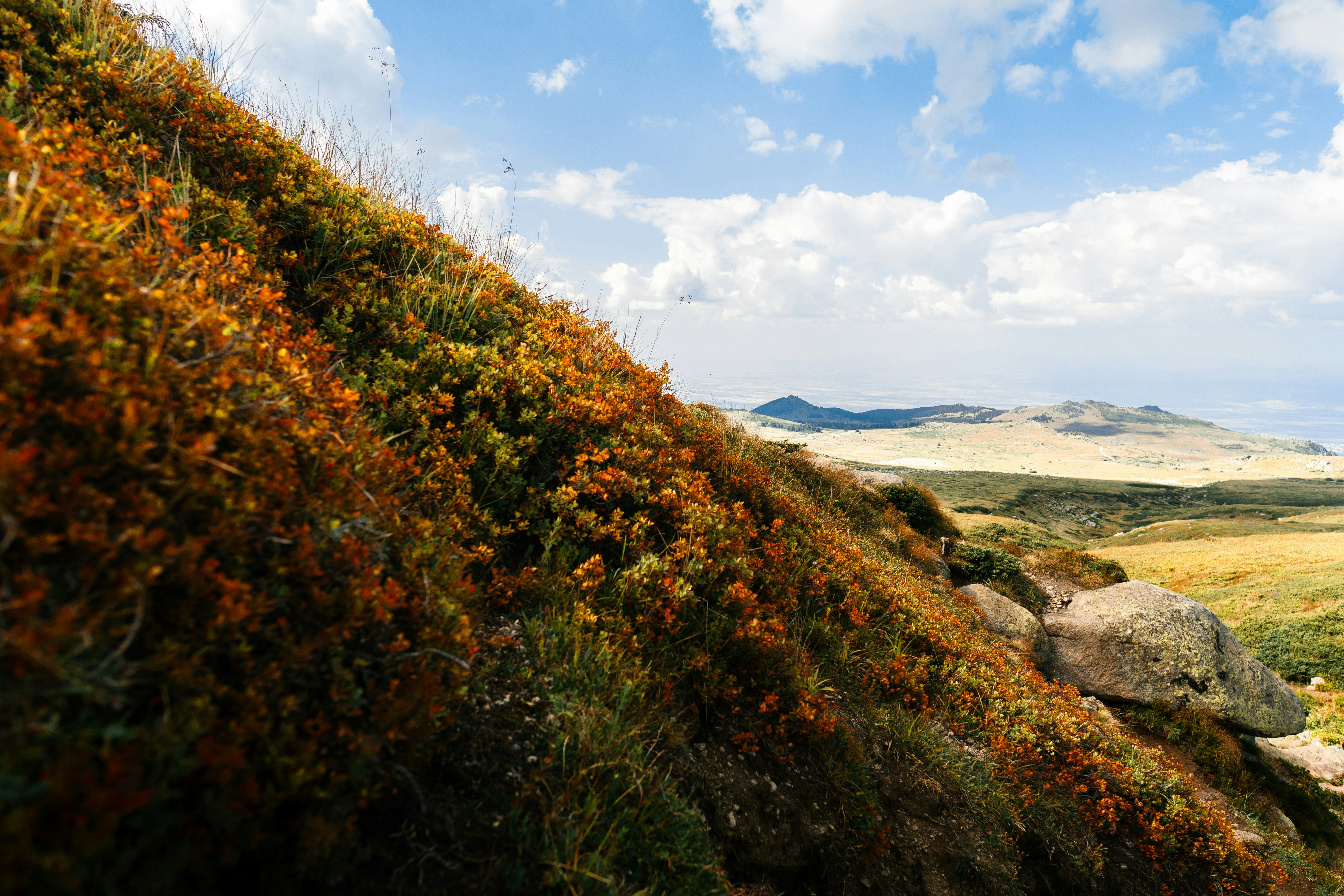 Photo by kristiqnspasov19