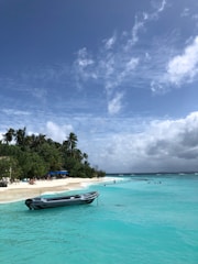 A boat that is sitting in the water
