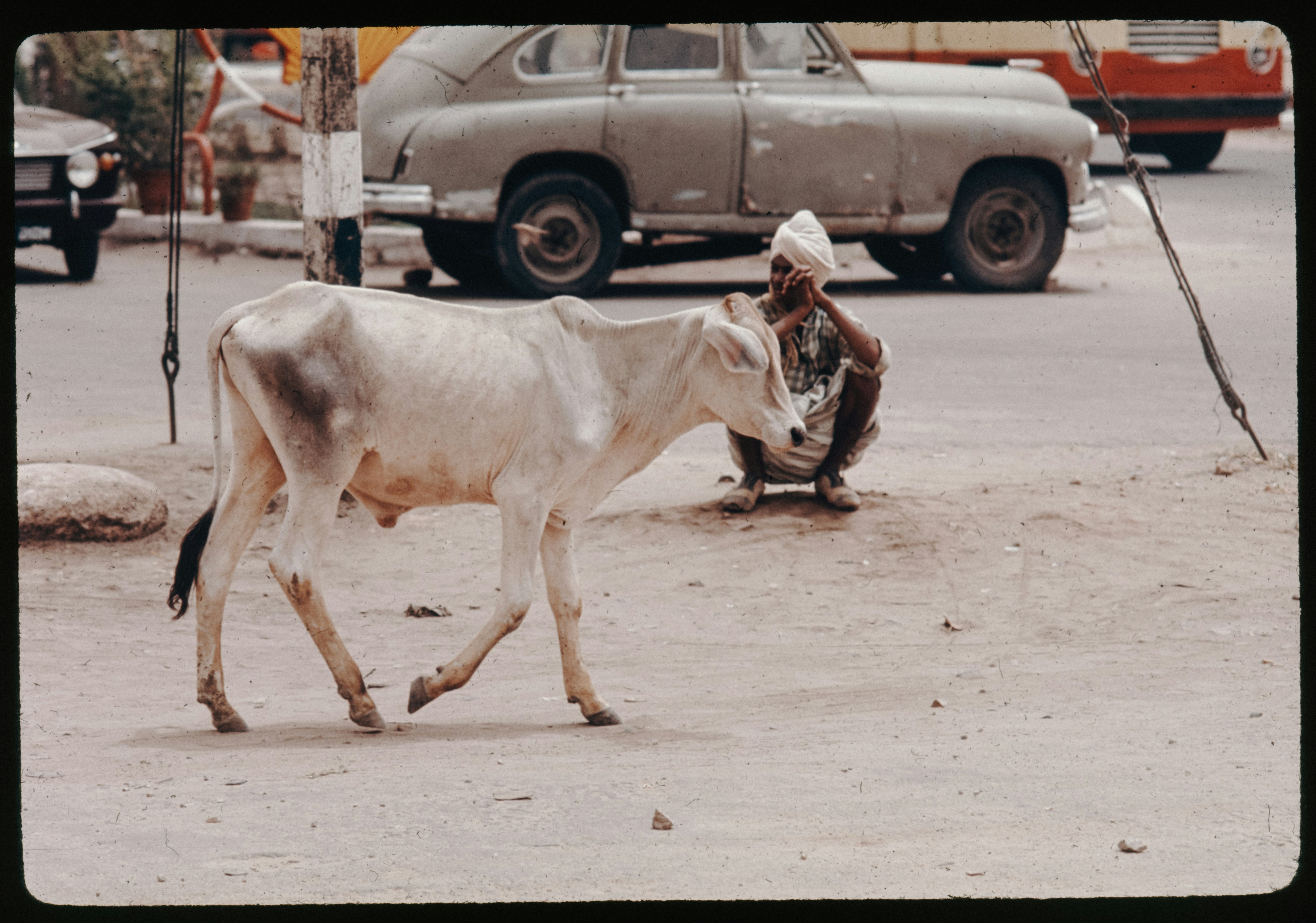 Stock market professional