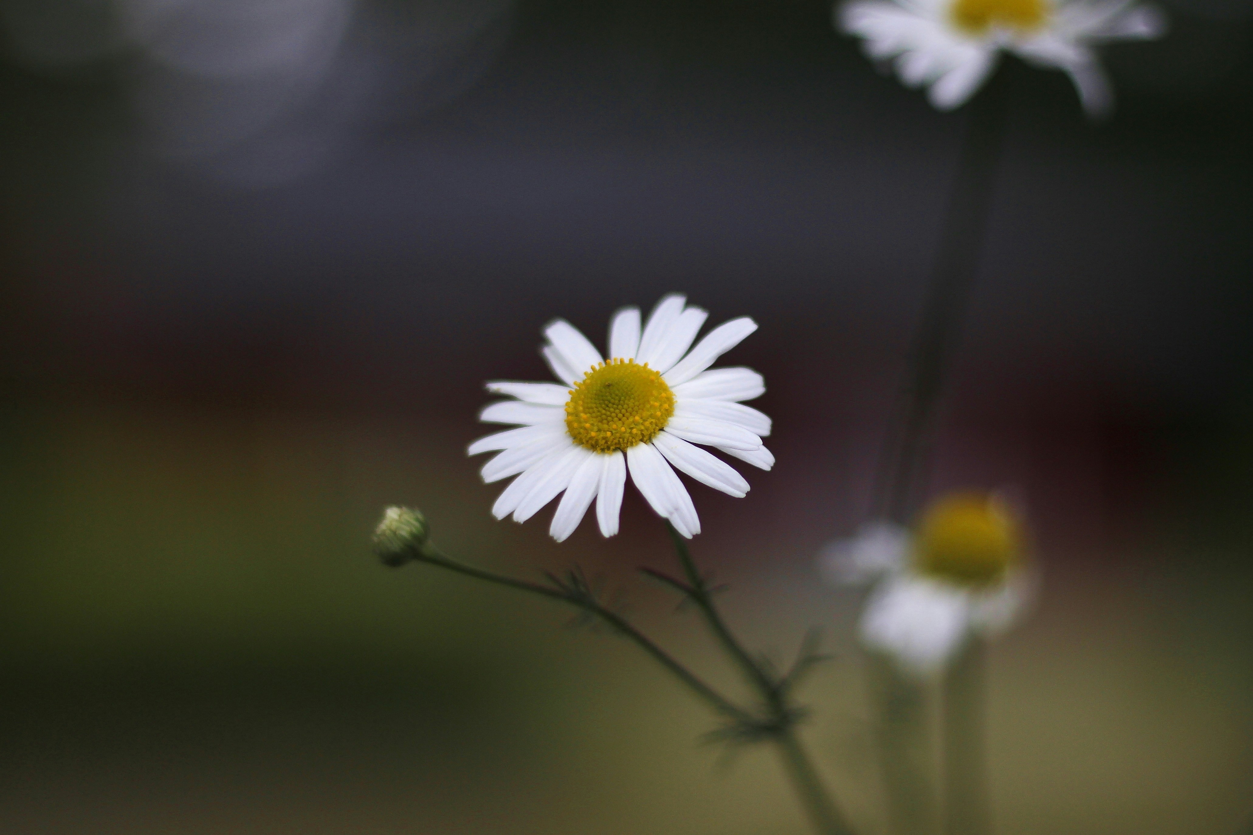 Photo by egemensahiin