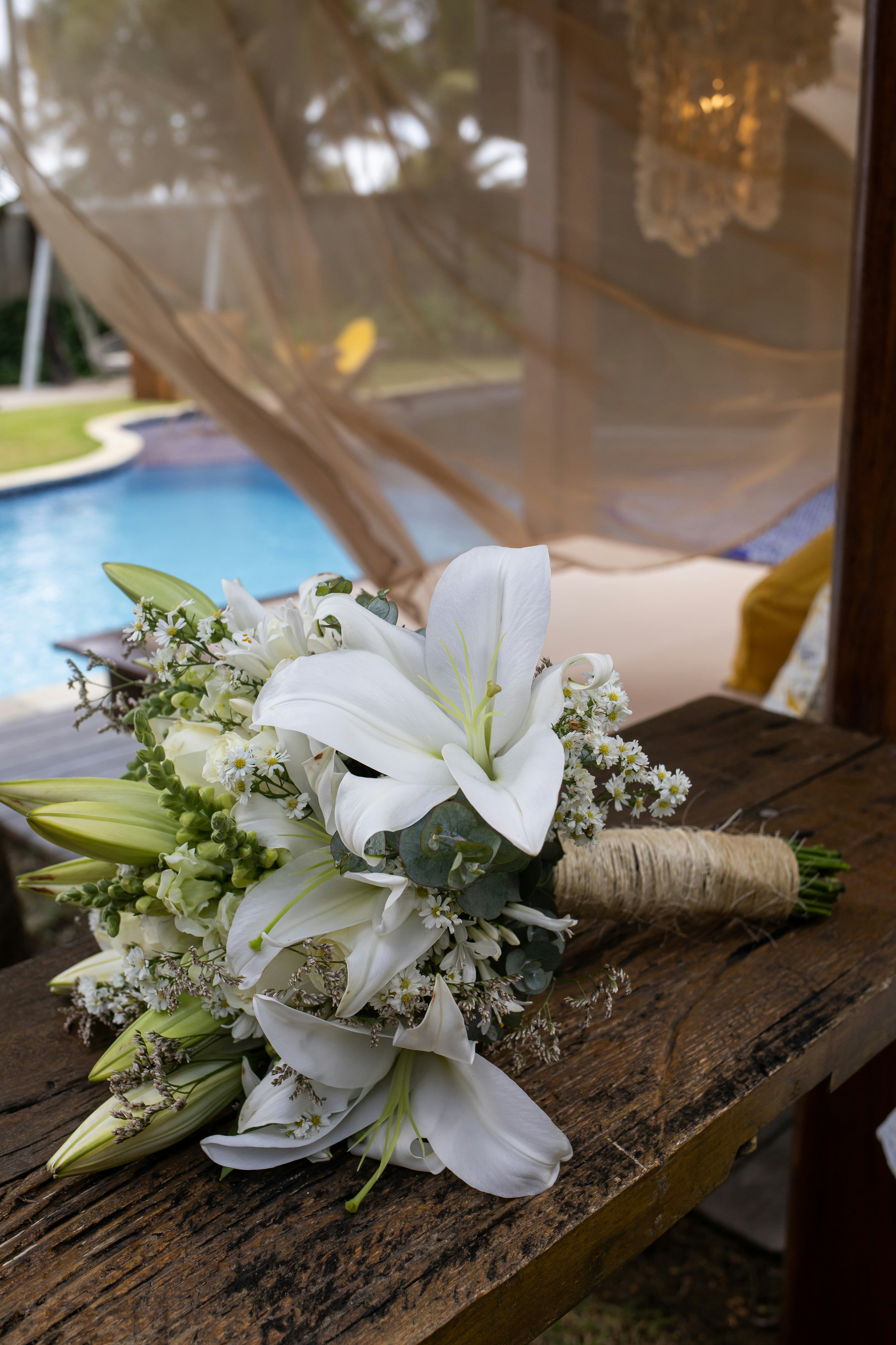 Photo by appariciojunior