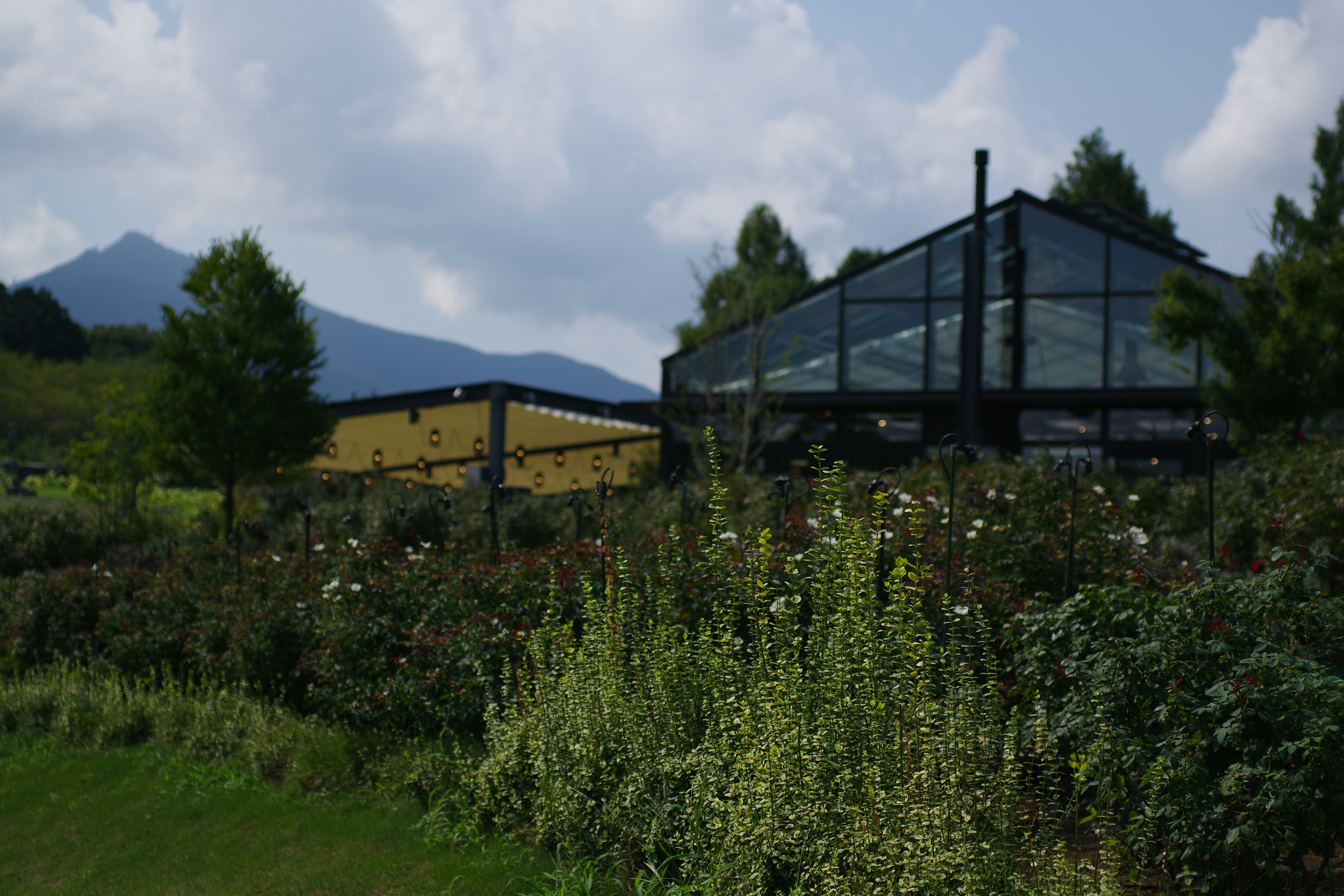 震驚！iPhone 15 爆史詩級災難，果粉崩潰倒數！