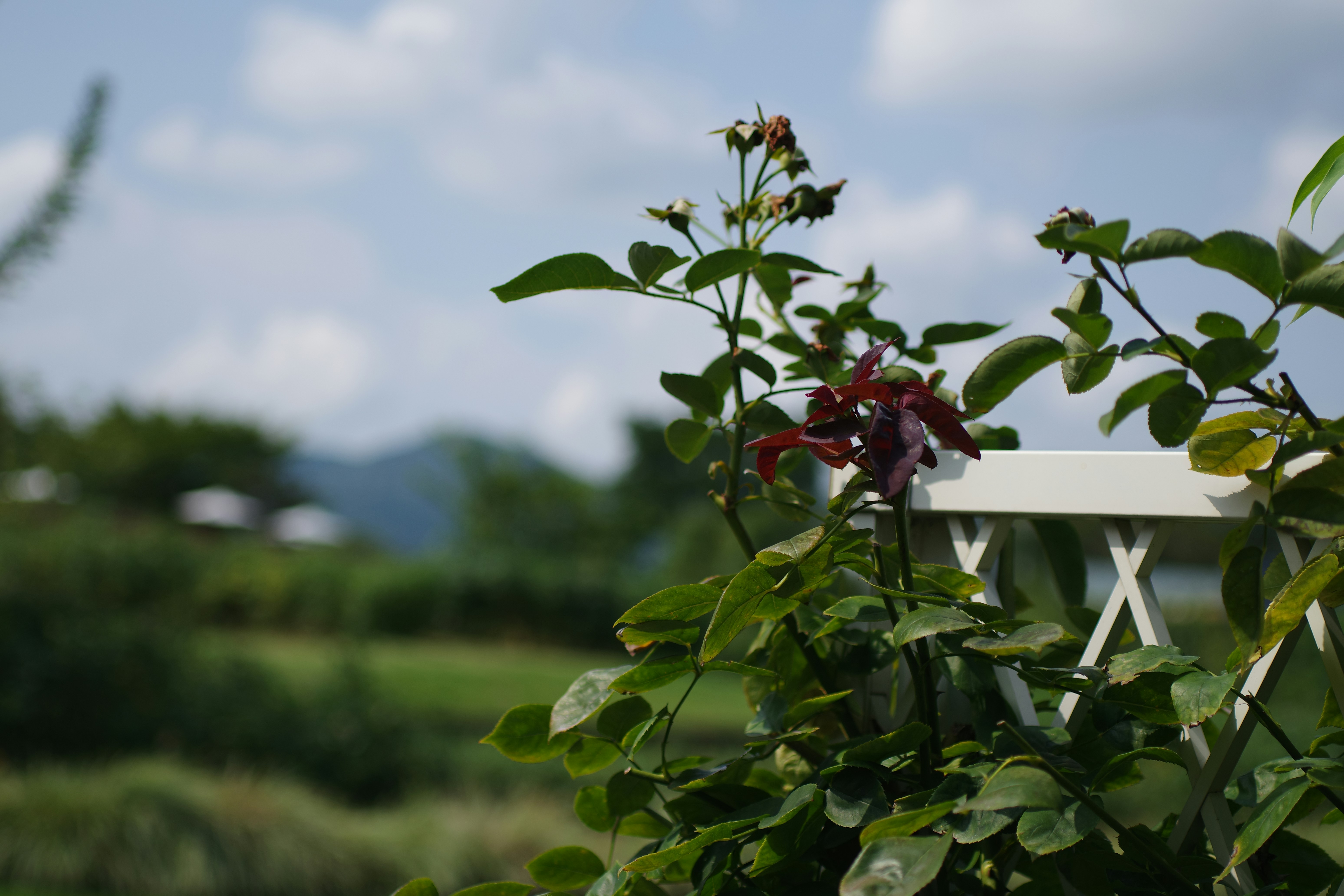 締寶娛樂城