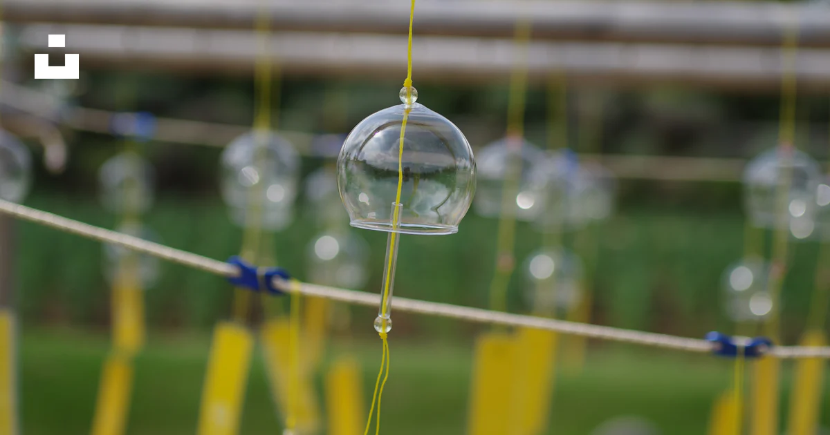 A group of bubbles hanging from a string photo – Free 木立 Image on Unsplash