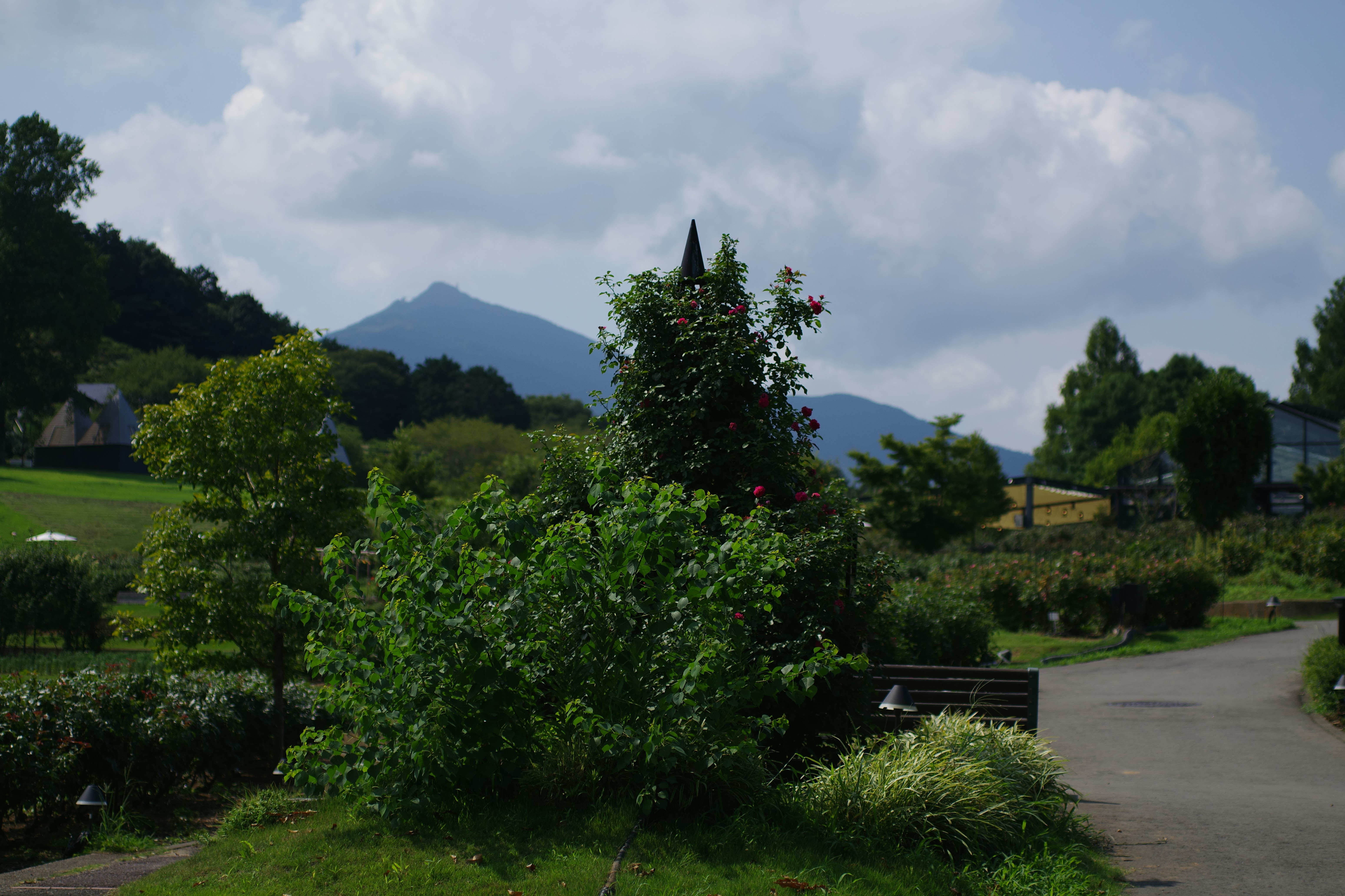 Photo by naopp