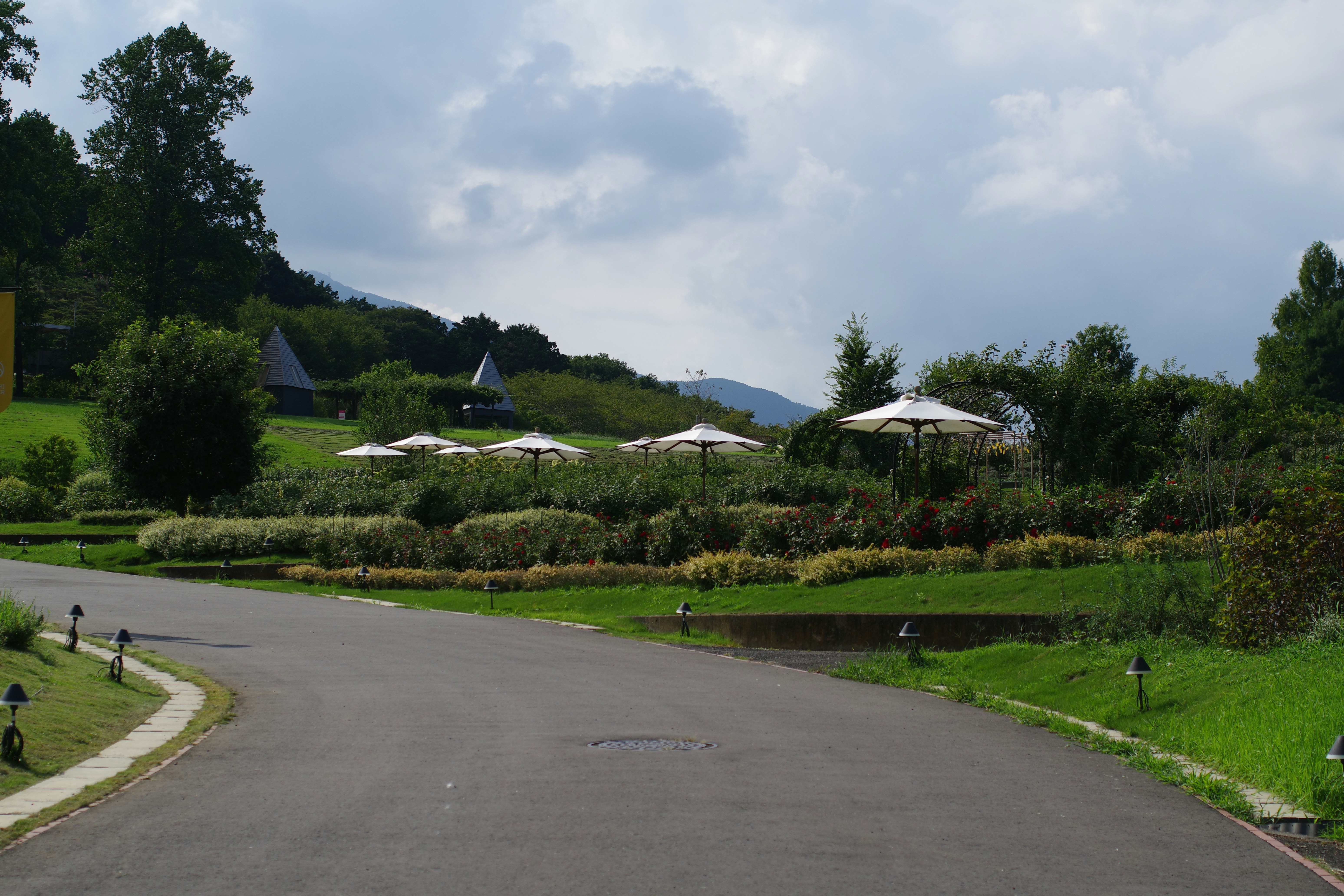 全台瘋傳！日本主婦不外傳收納術，租屋族也能變豪宅！