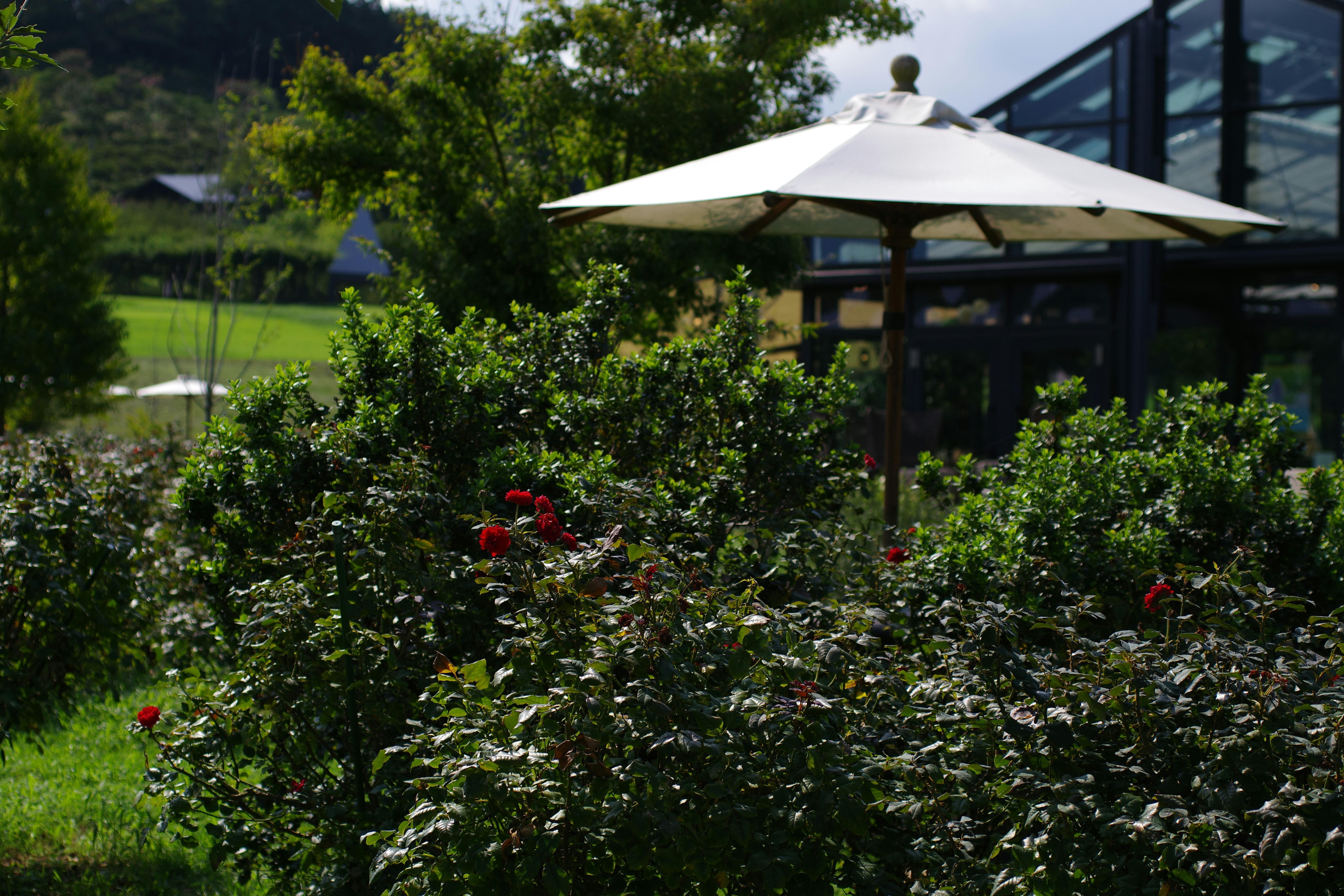 😱 清潔阿姨絕不說的秘密！3招讓家裡亮到像豪宅，過年親戚都跪了！