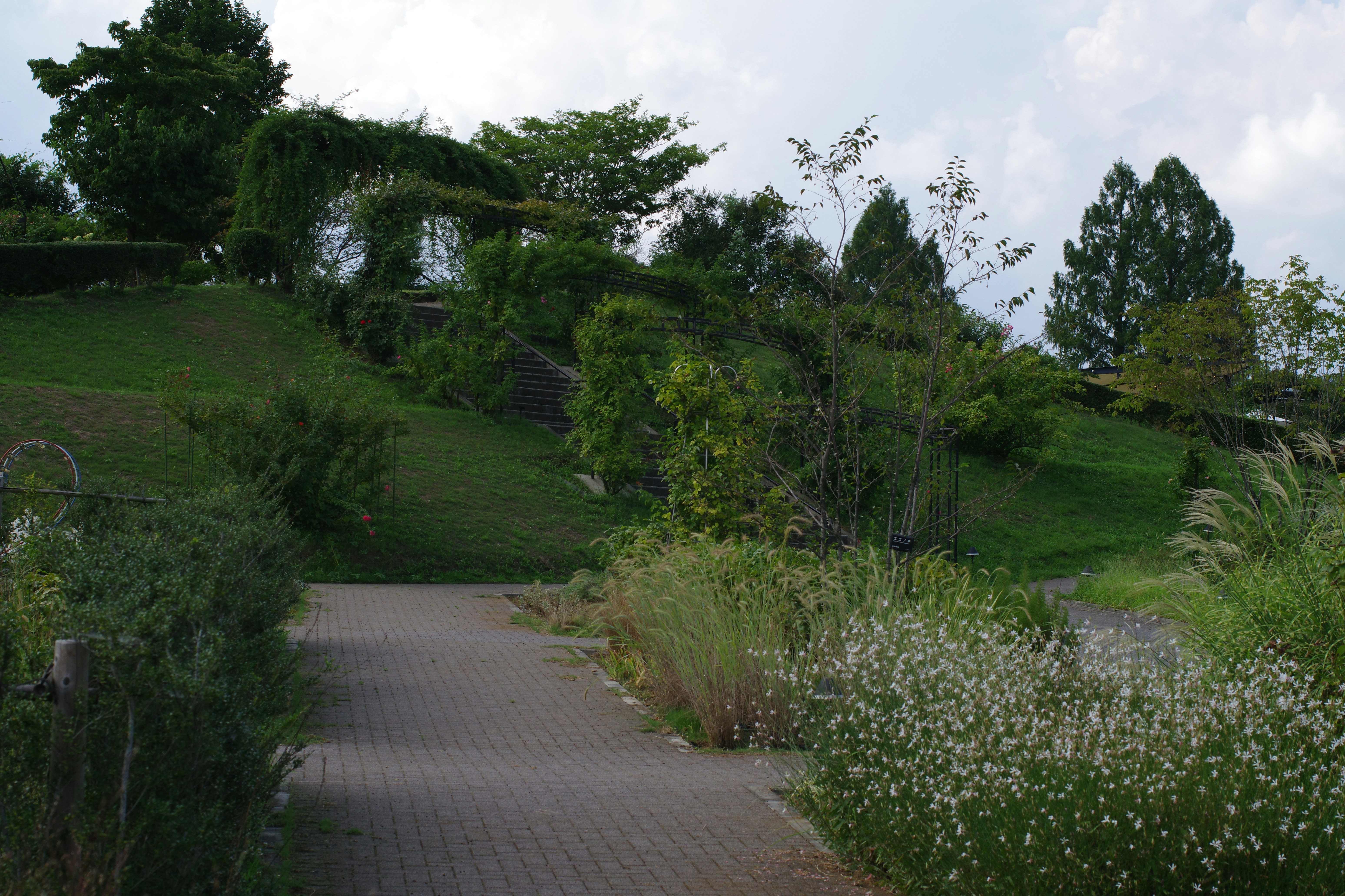 A path leading to a lush green hillside