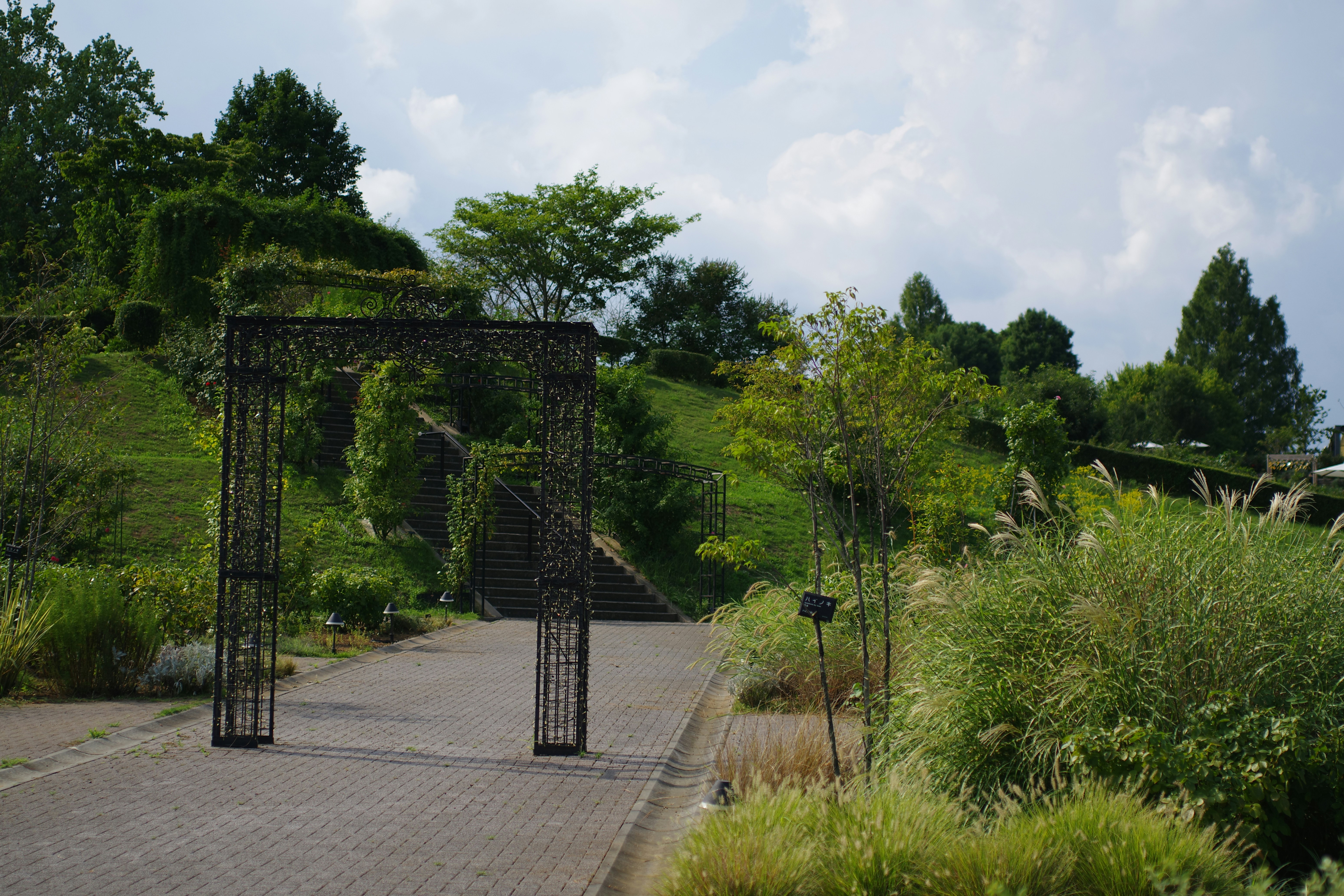 Beautiful green and flower garden、新緑と美しい花が織りなす絶景 A superb view of fresh greenery and beautiful flowers、Give a bouquet of flowers 花束贈るA superb view of Japan's beautiful village and flowers