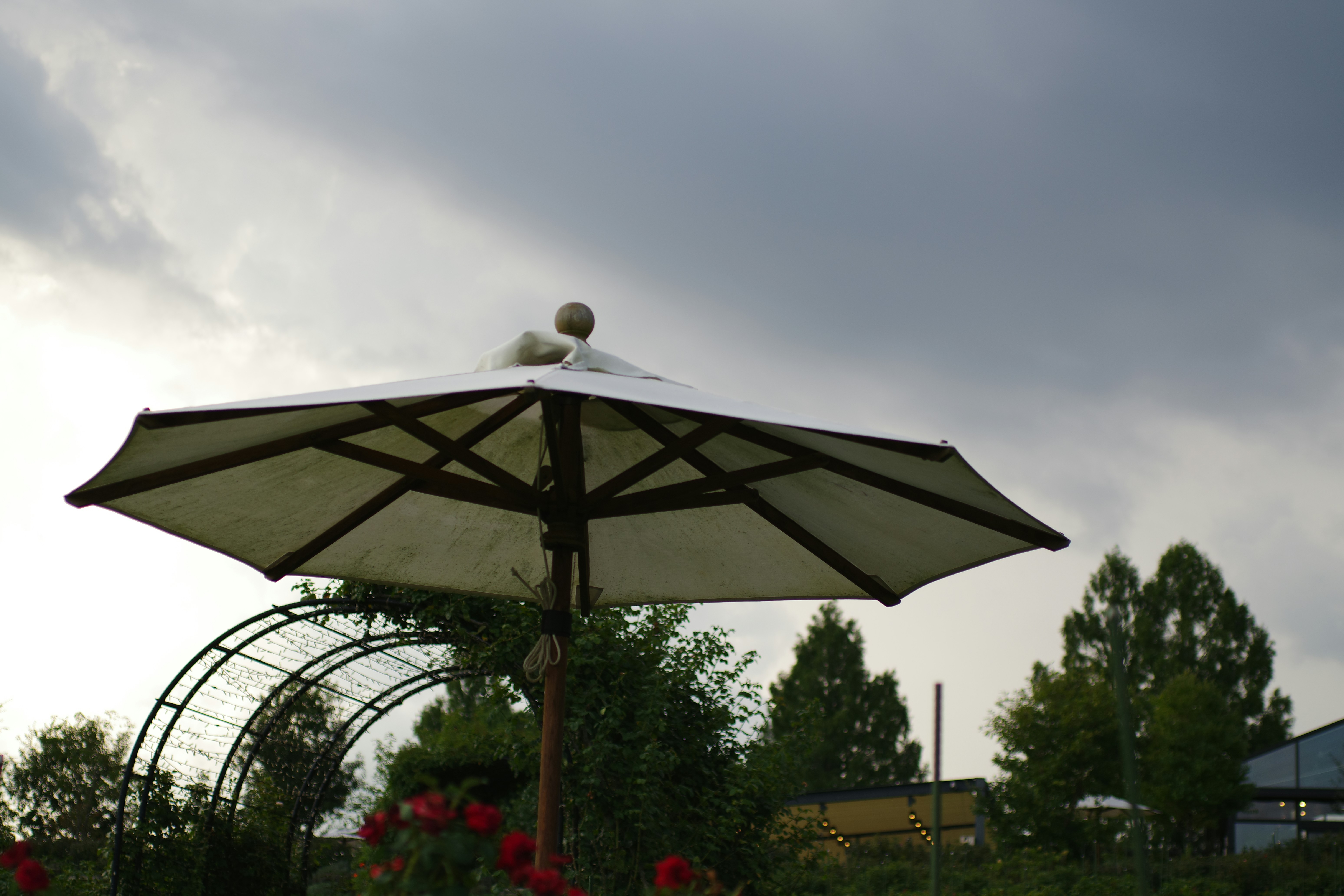 媽啊！廚房水槽竟是細菌炸彈？專家教你3招瞬殺！