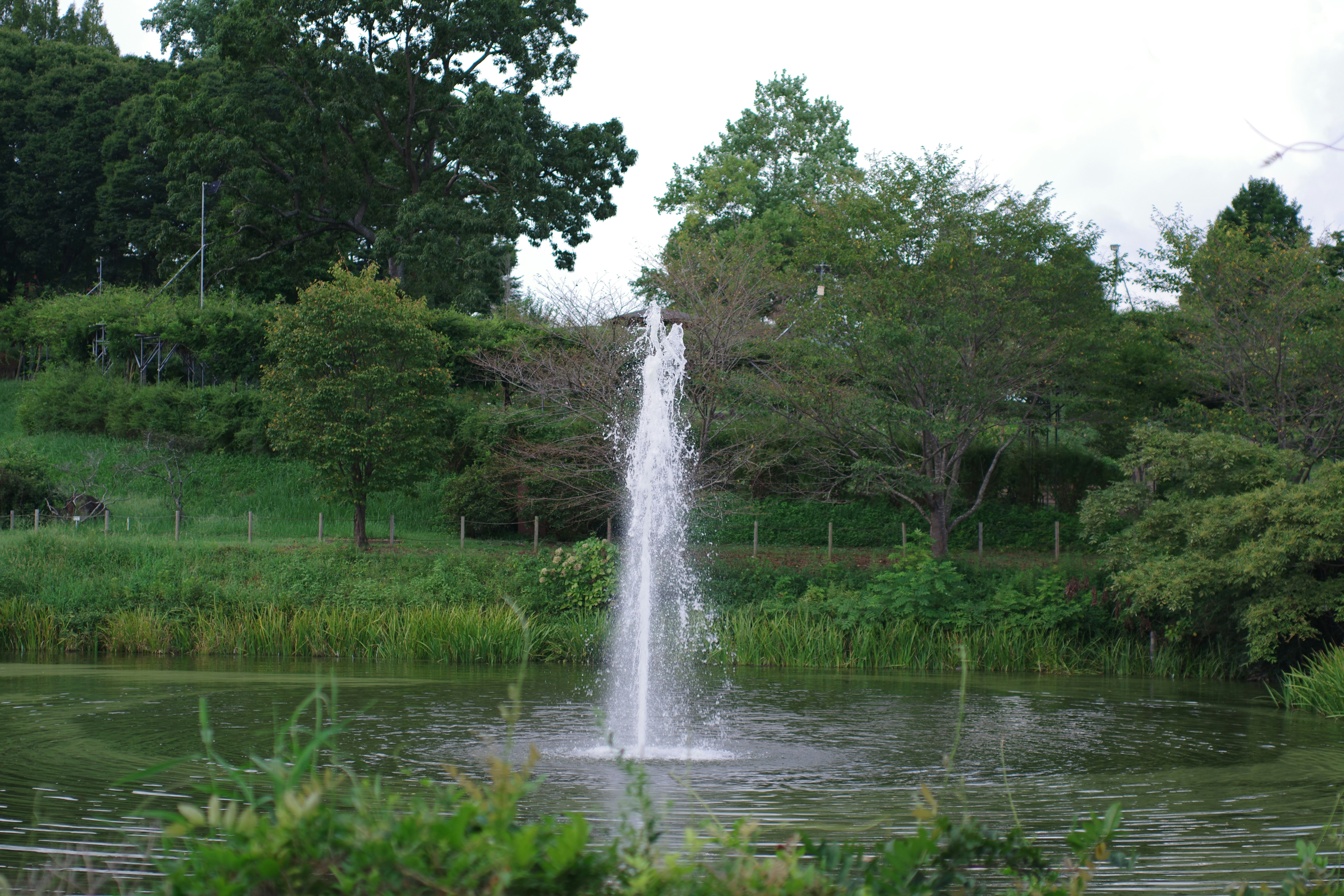 How to Choose the Right One (Step-by-step)