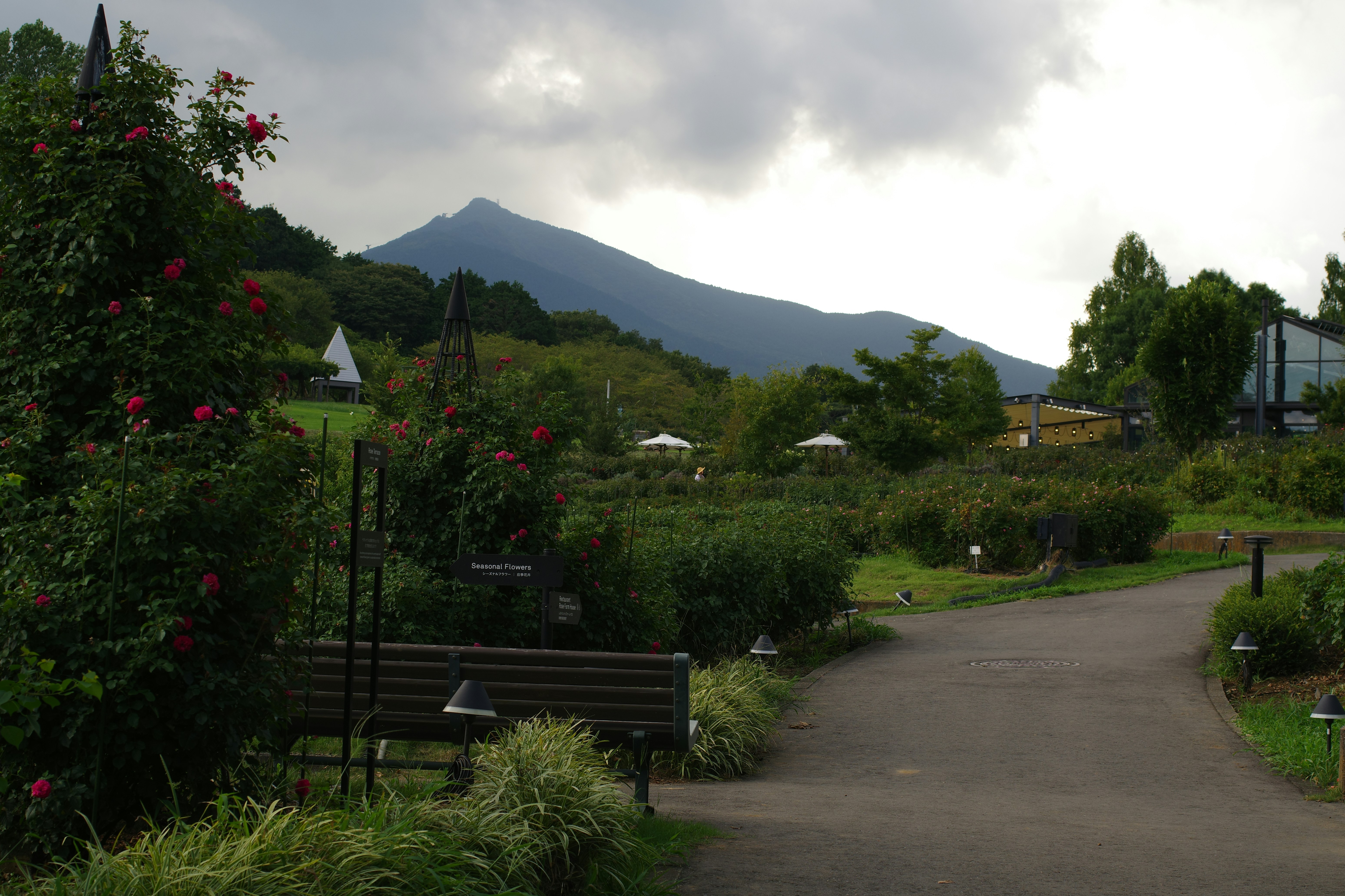 Fuji Thai Buffalo Grove Menu