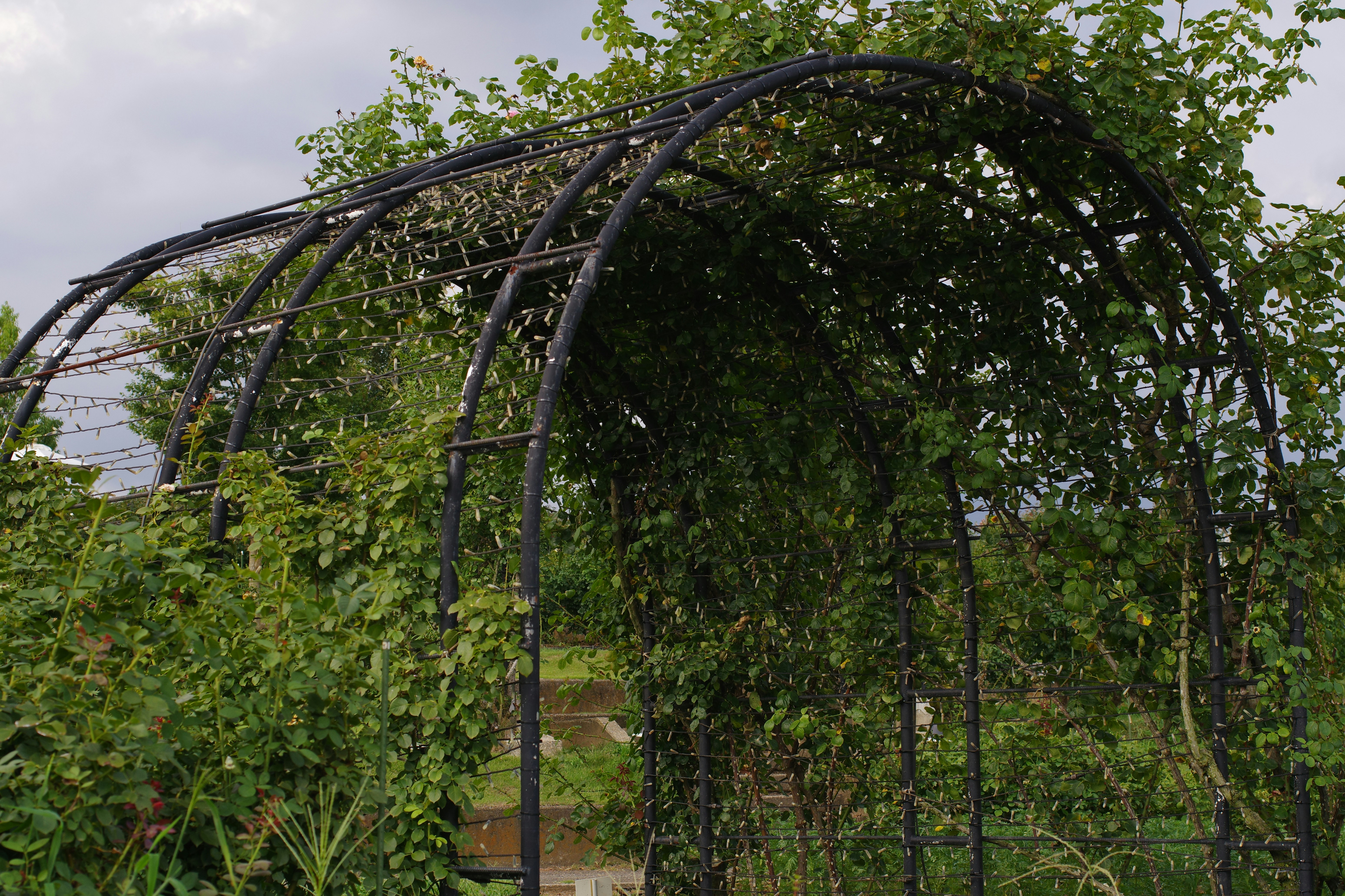 🔥你家其實是垃圾場？斷捨離真相曝光，看完直接想丟光！