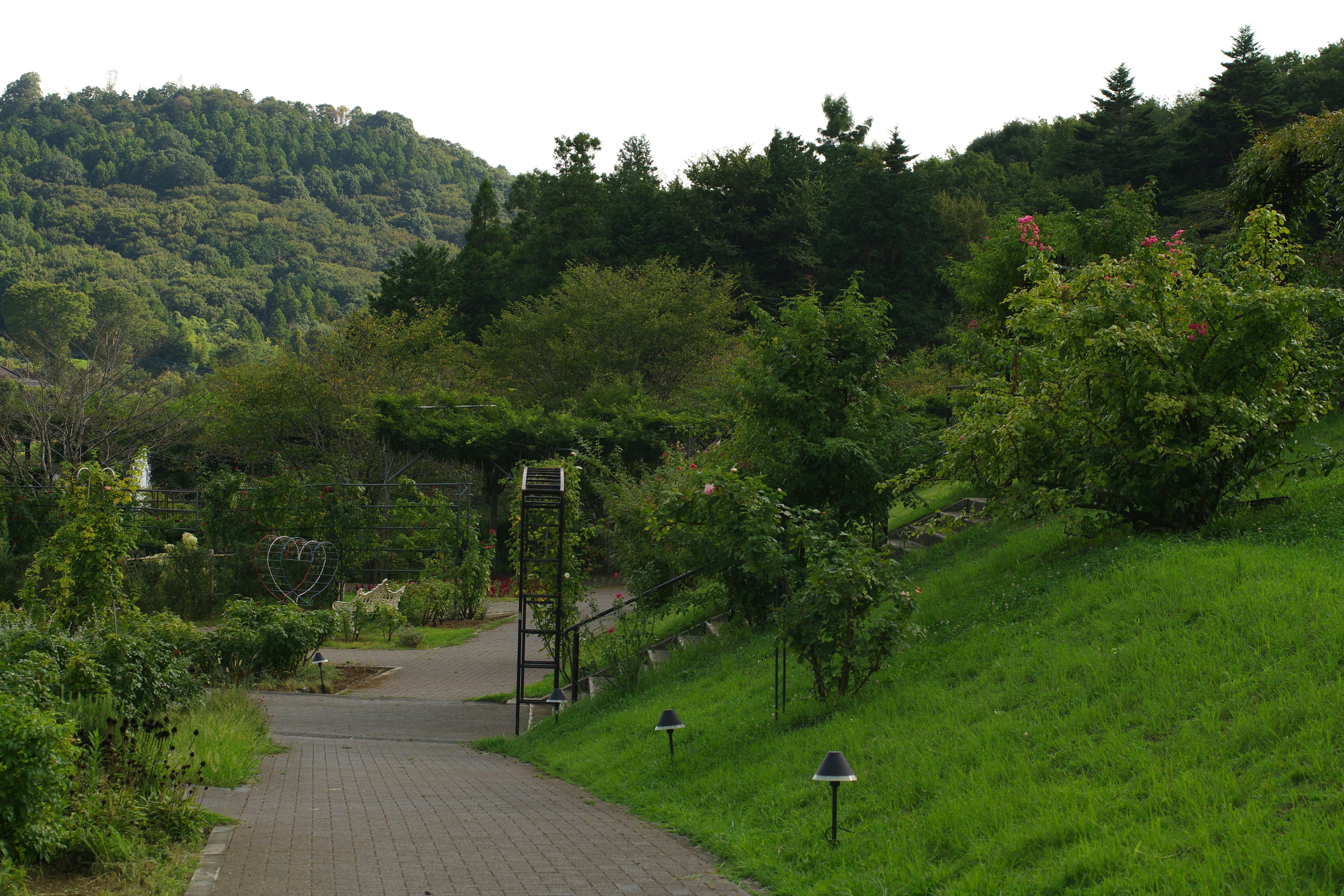 A view of a road in the middle of a lush green hillside