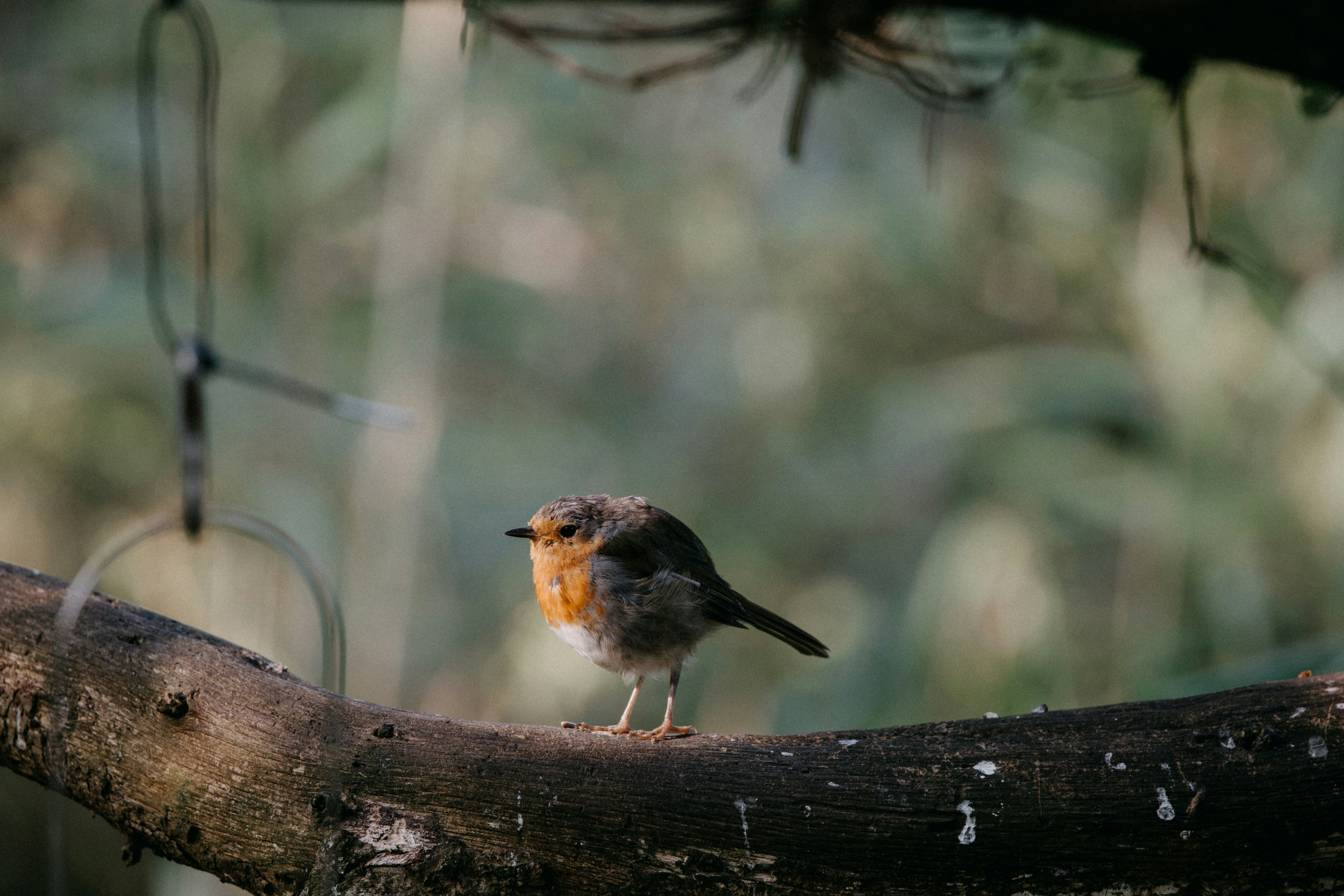 Photo by anniespratt