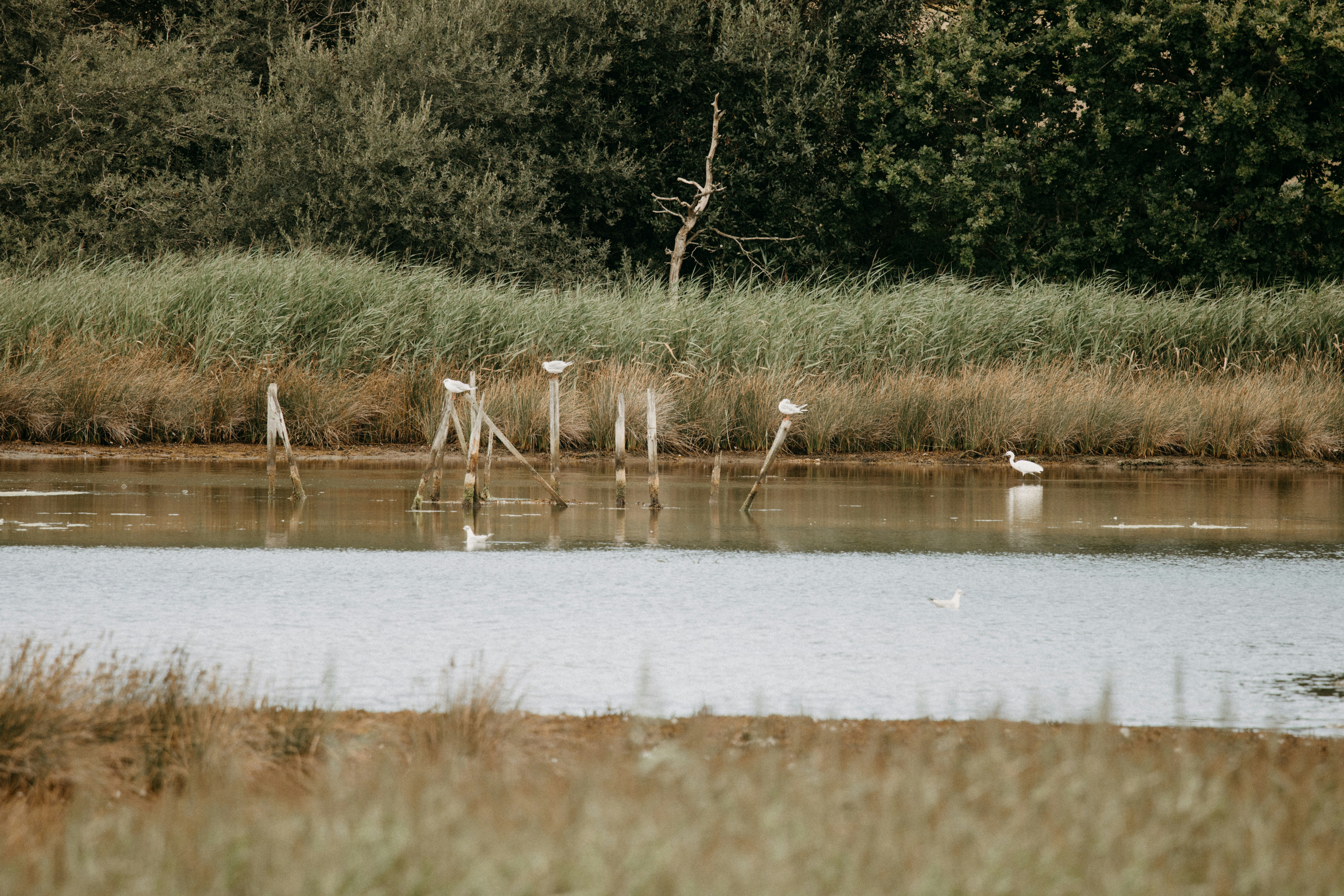 Photo by anniespratt