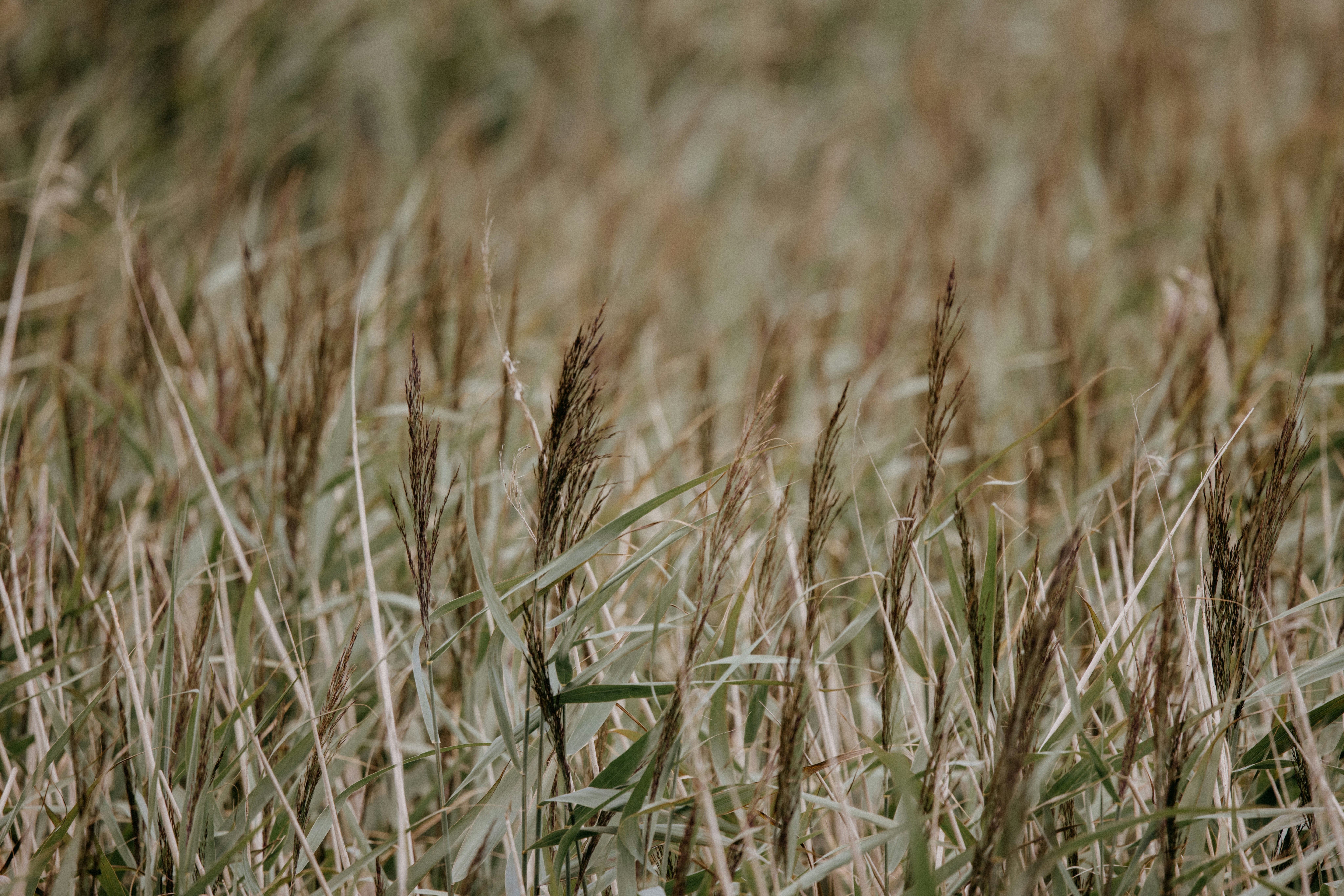 Photo by anniespratt