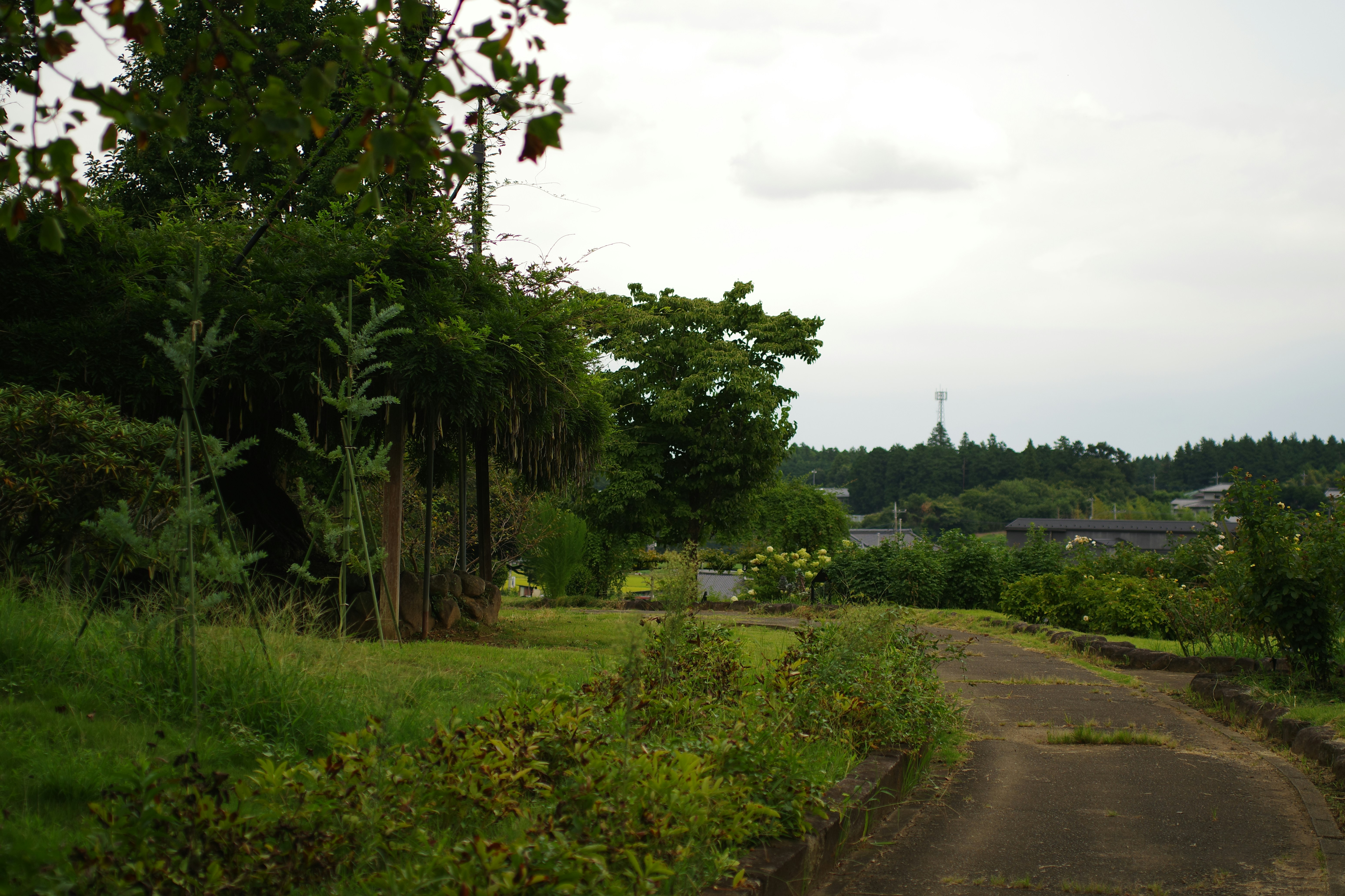 KOO destination photo