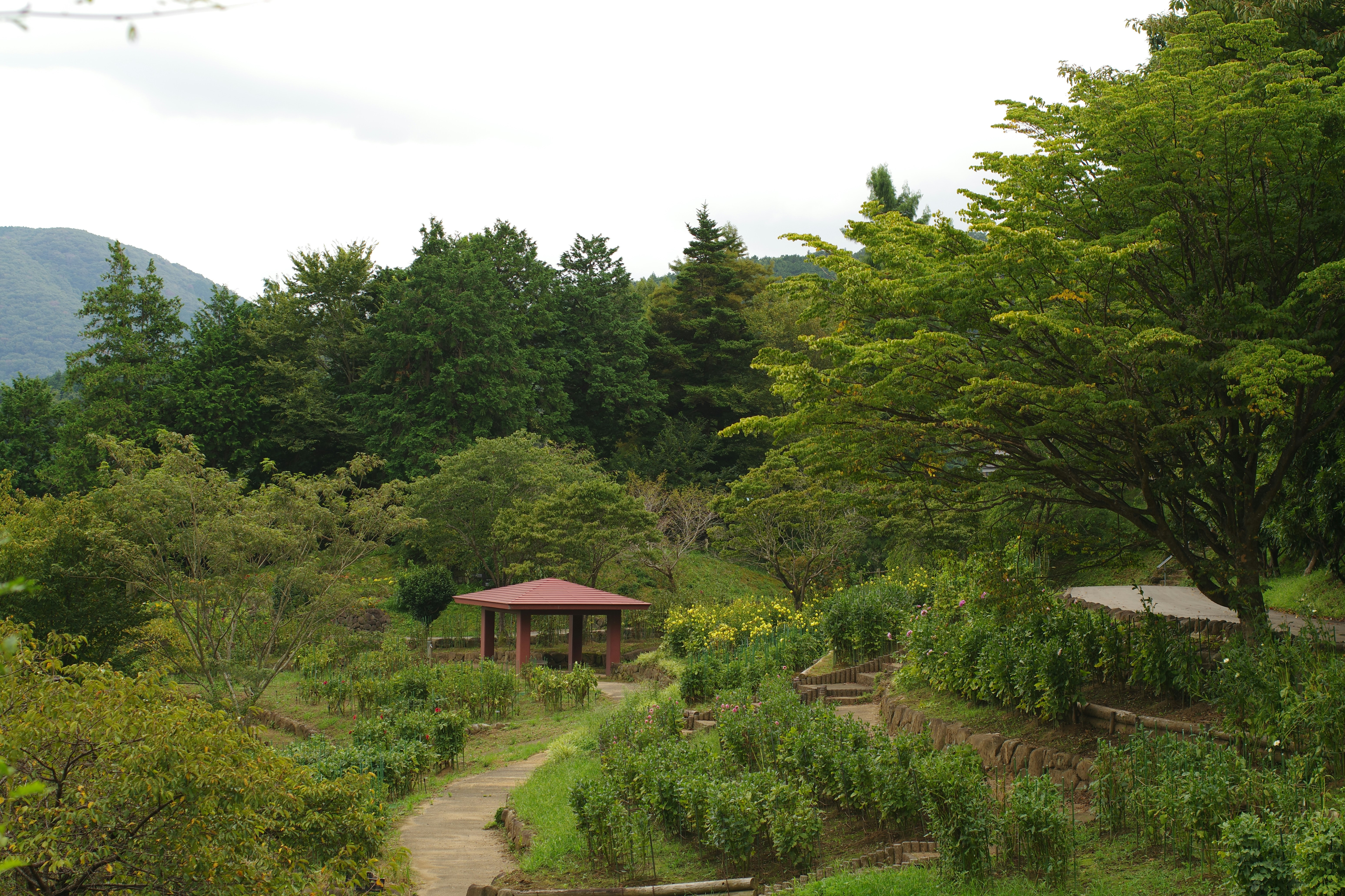 photo 1724501714264 ffea1a483569?crop=entropy&cs=tinysrgb&fit=max&fm=jpg&ixid=M3w1MjQ0NjR8MHwxfHNlYXJjaHwxOHx8SmFwYW5lc2UlMjBHYXJkZW4lMjBhbmQlMjBCdWtpdCUyMFRpbmdnaXxlbnwwfDB8fHwxNzU1MjE3OTA5fDA&ixlib=rb 4.1