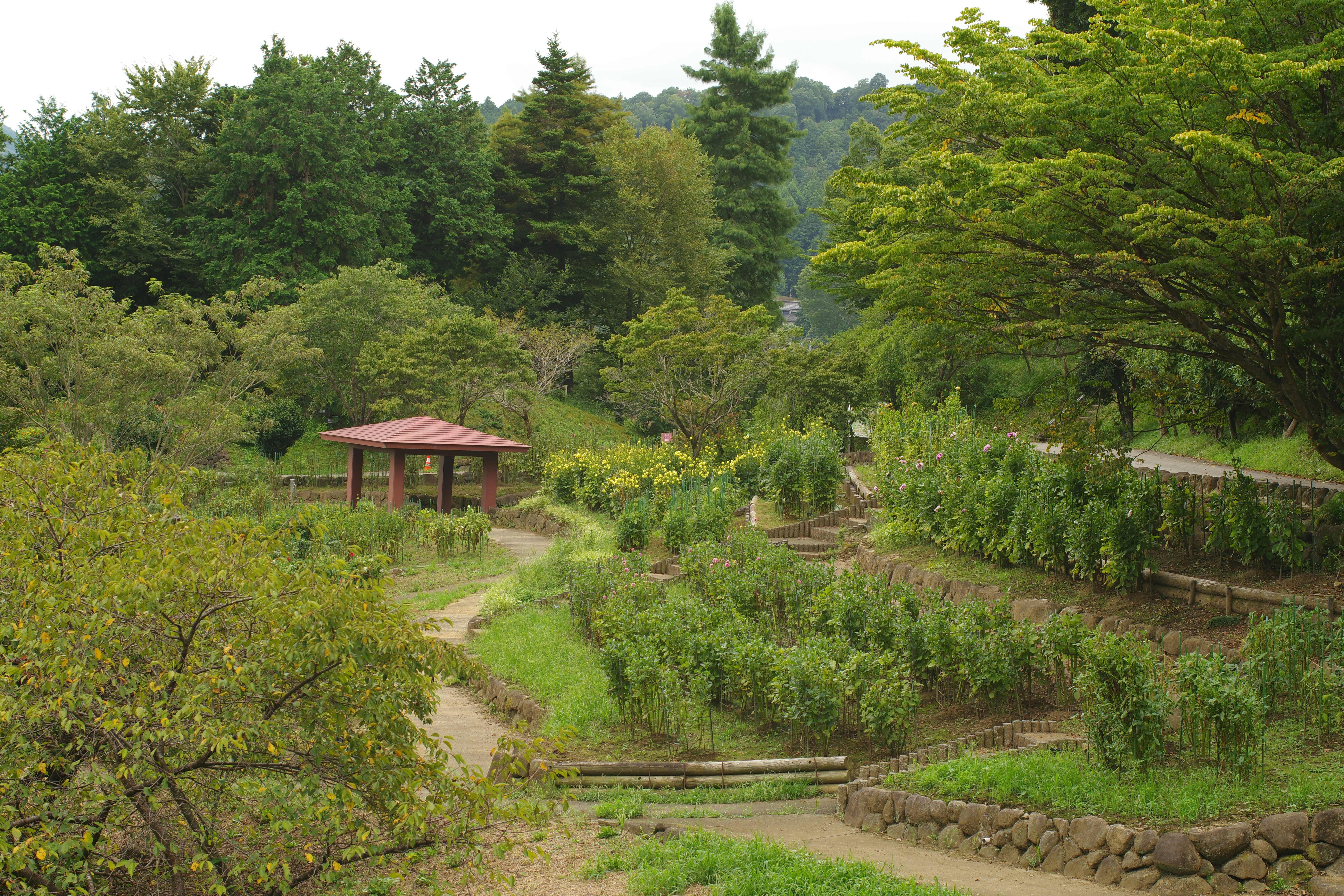 La Hacienda Lunch Menu