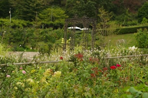 A garden filled with lots of different types of flowers