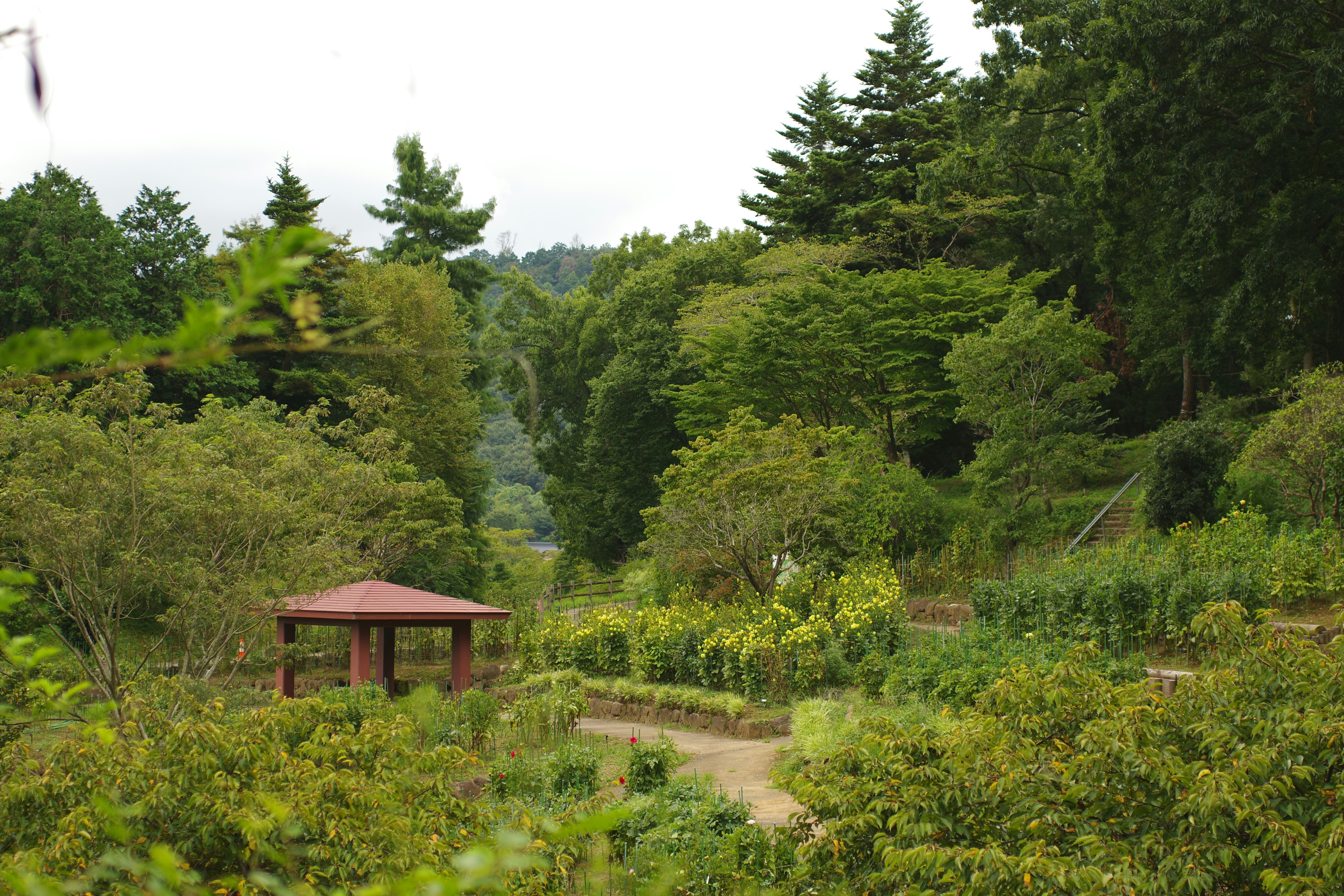 A gazebo in the middle of a wooded area