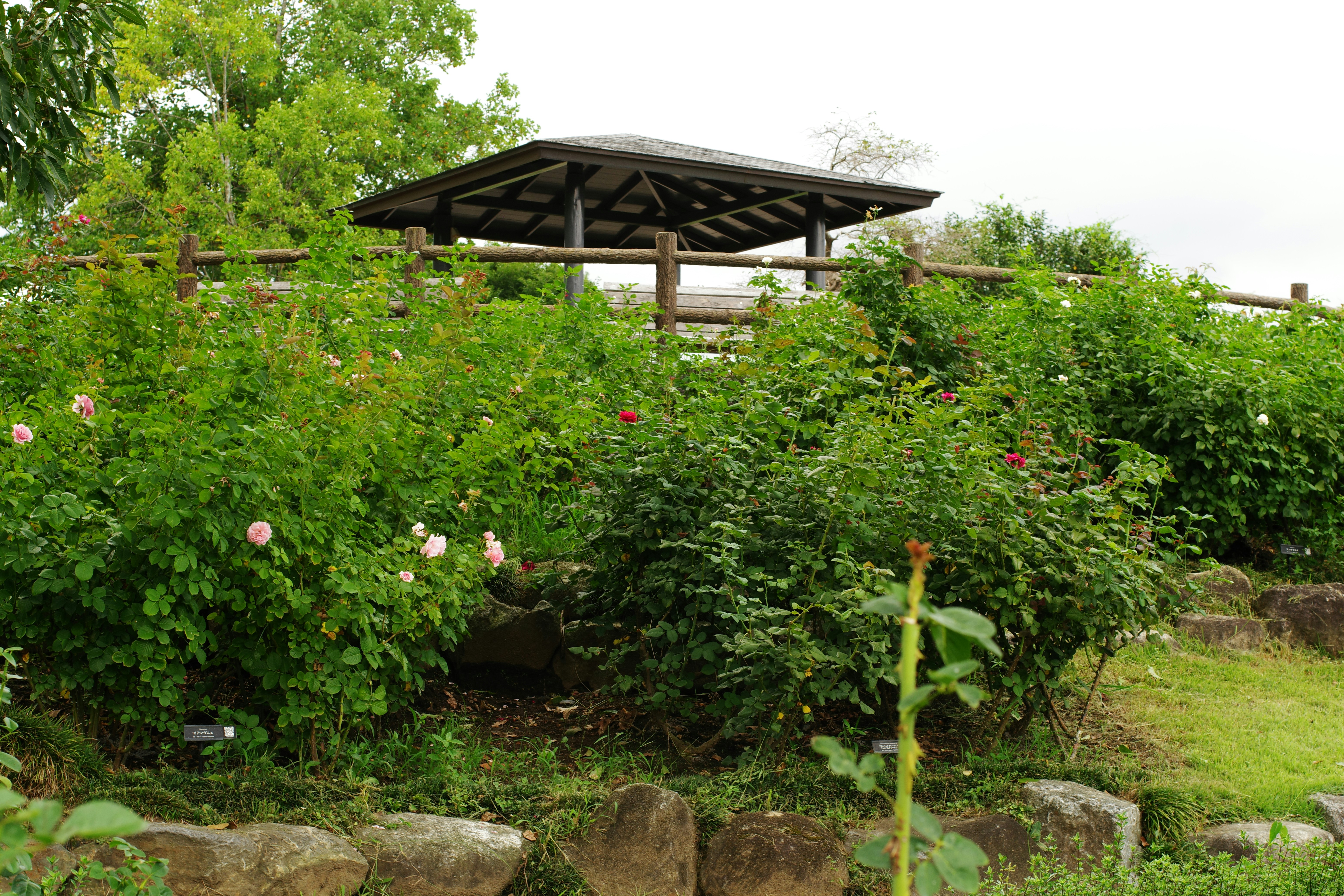 震驚！99%的人都搞錯了！居家收納的真相竟是