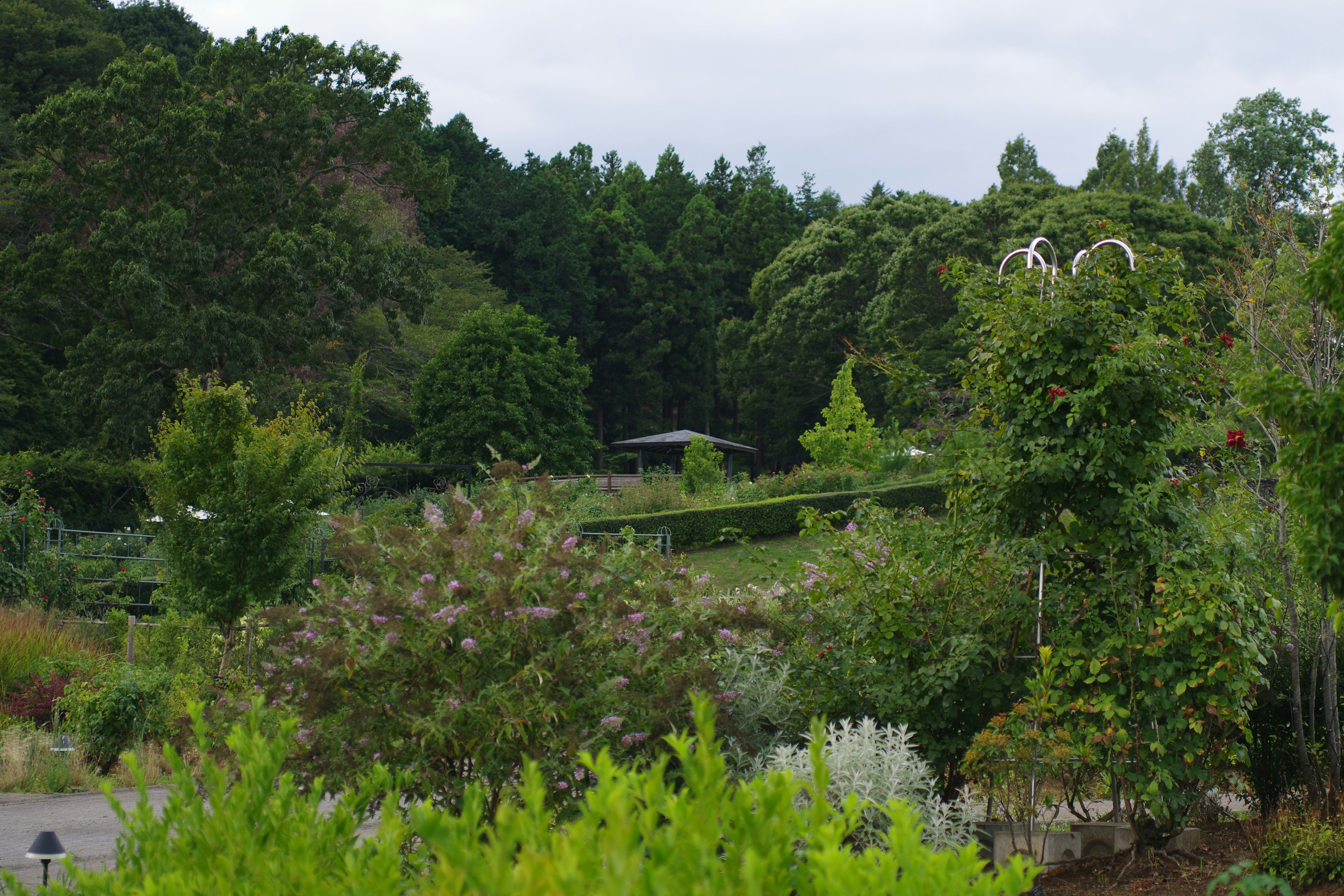Invercargill Botanic Garden - Invercargill