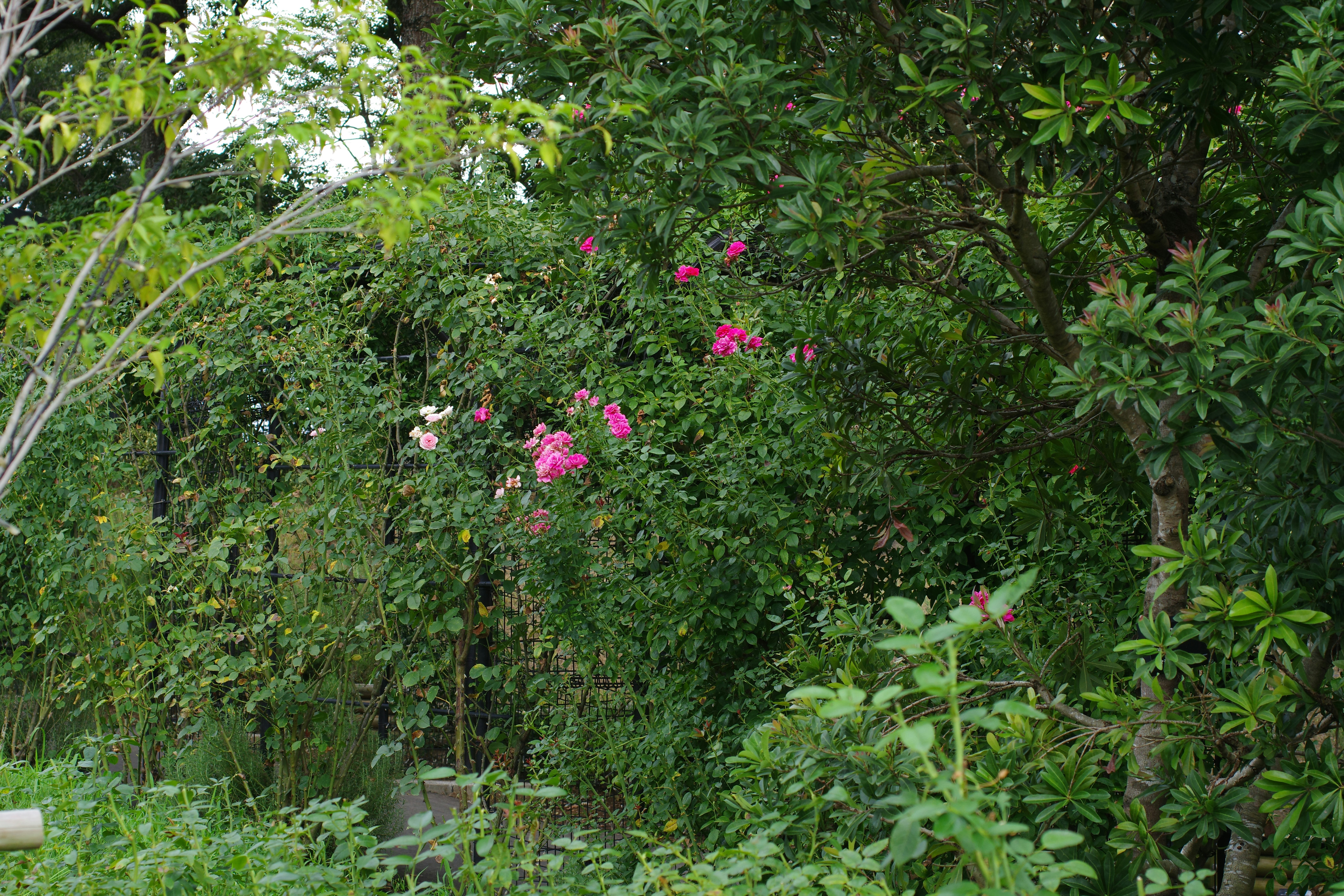 🔥震驚！這種家居擺設竟是招霉體質？難怪你一直衰！