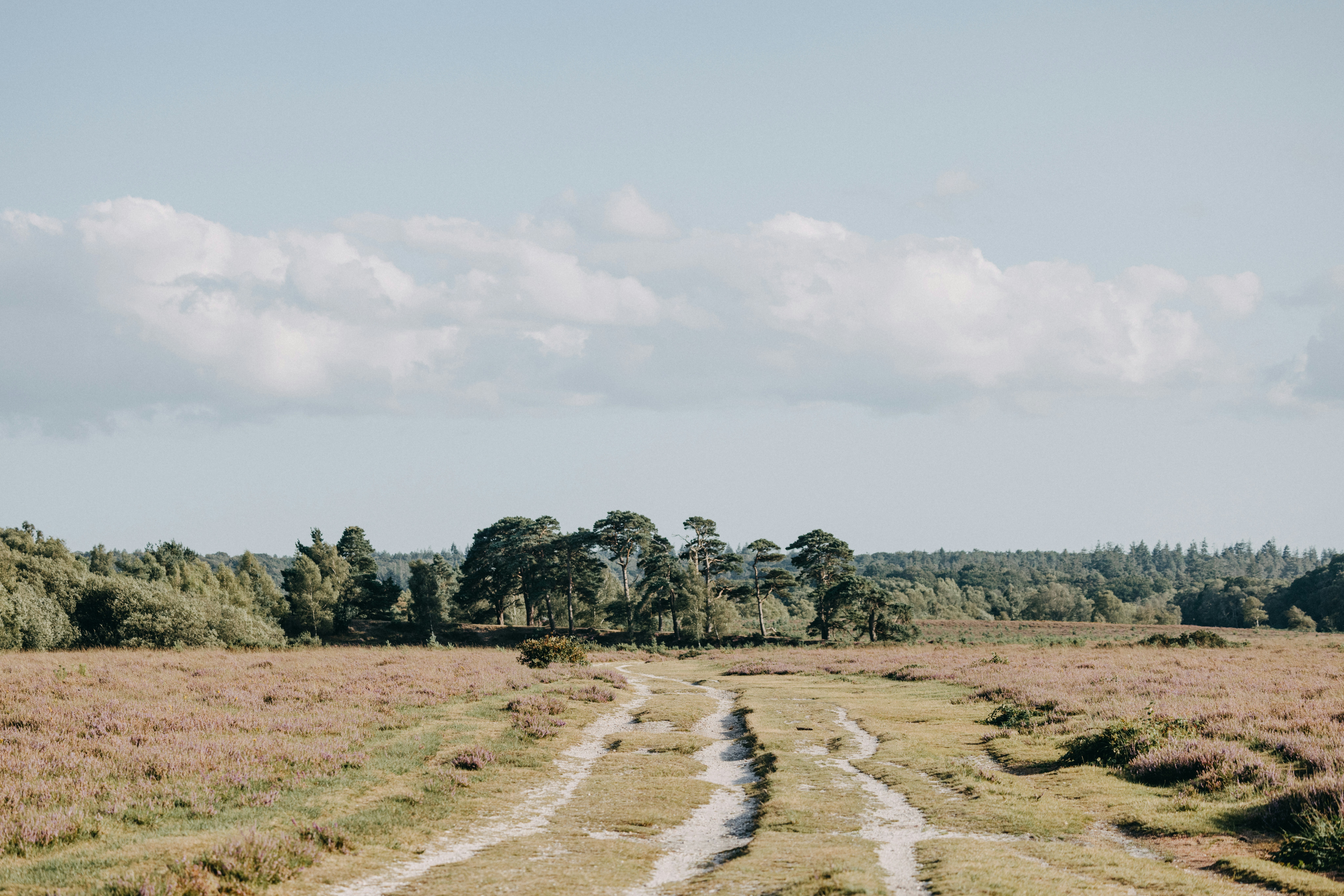 Photo by anniespratt