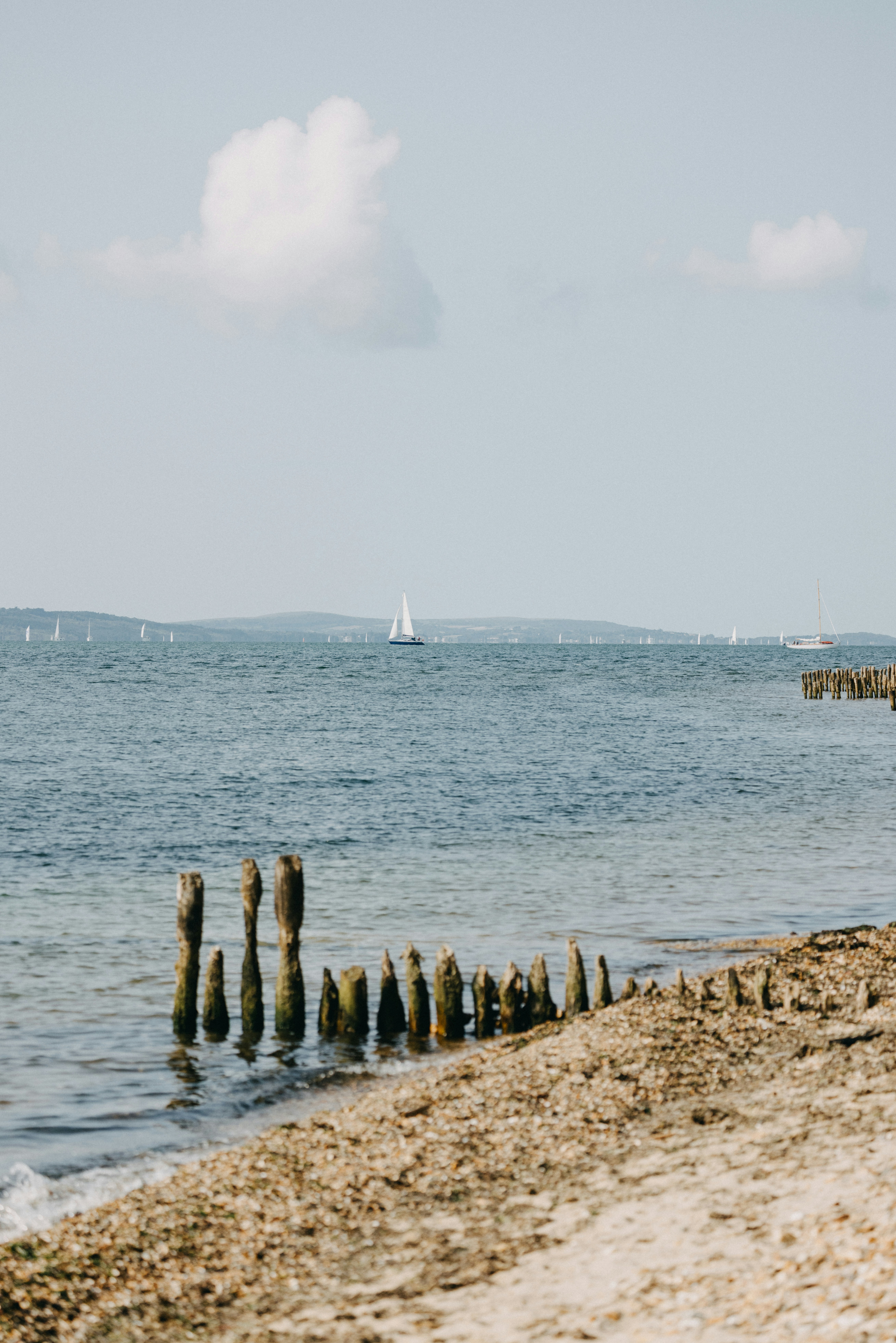 Photo by anniespratt