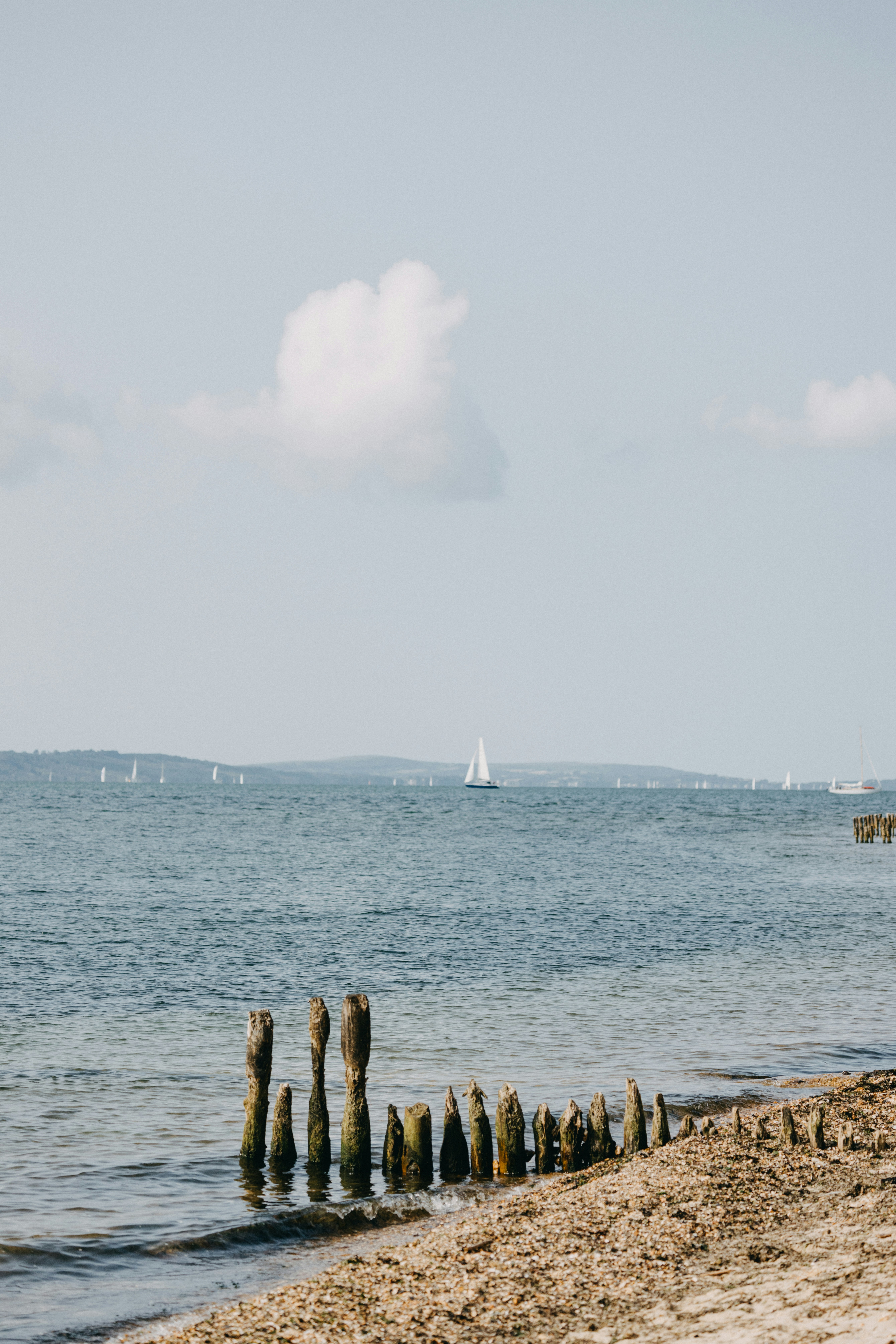 Photo by anniespratt