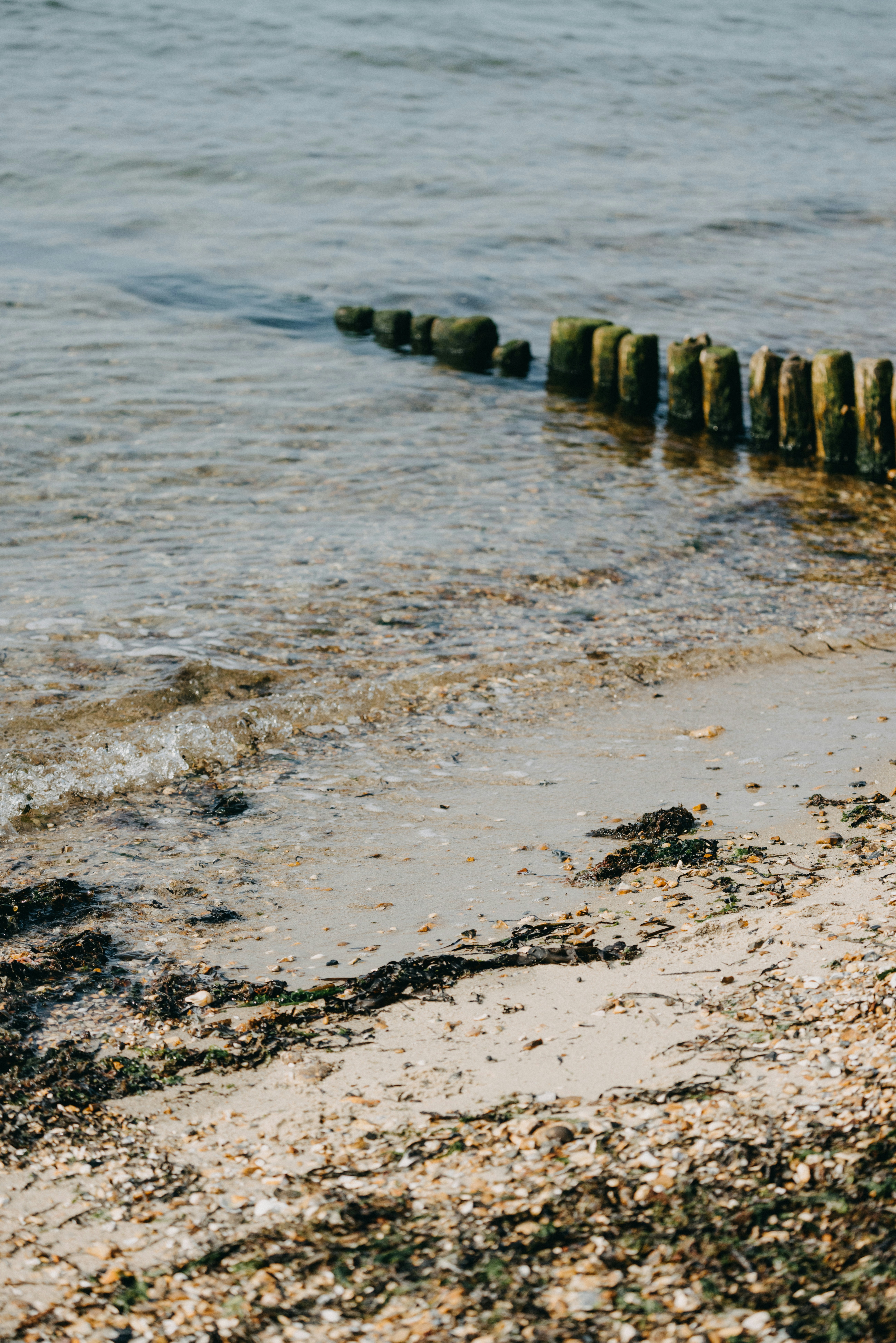 Photo by anniespratt