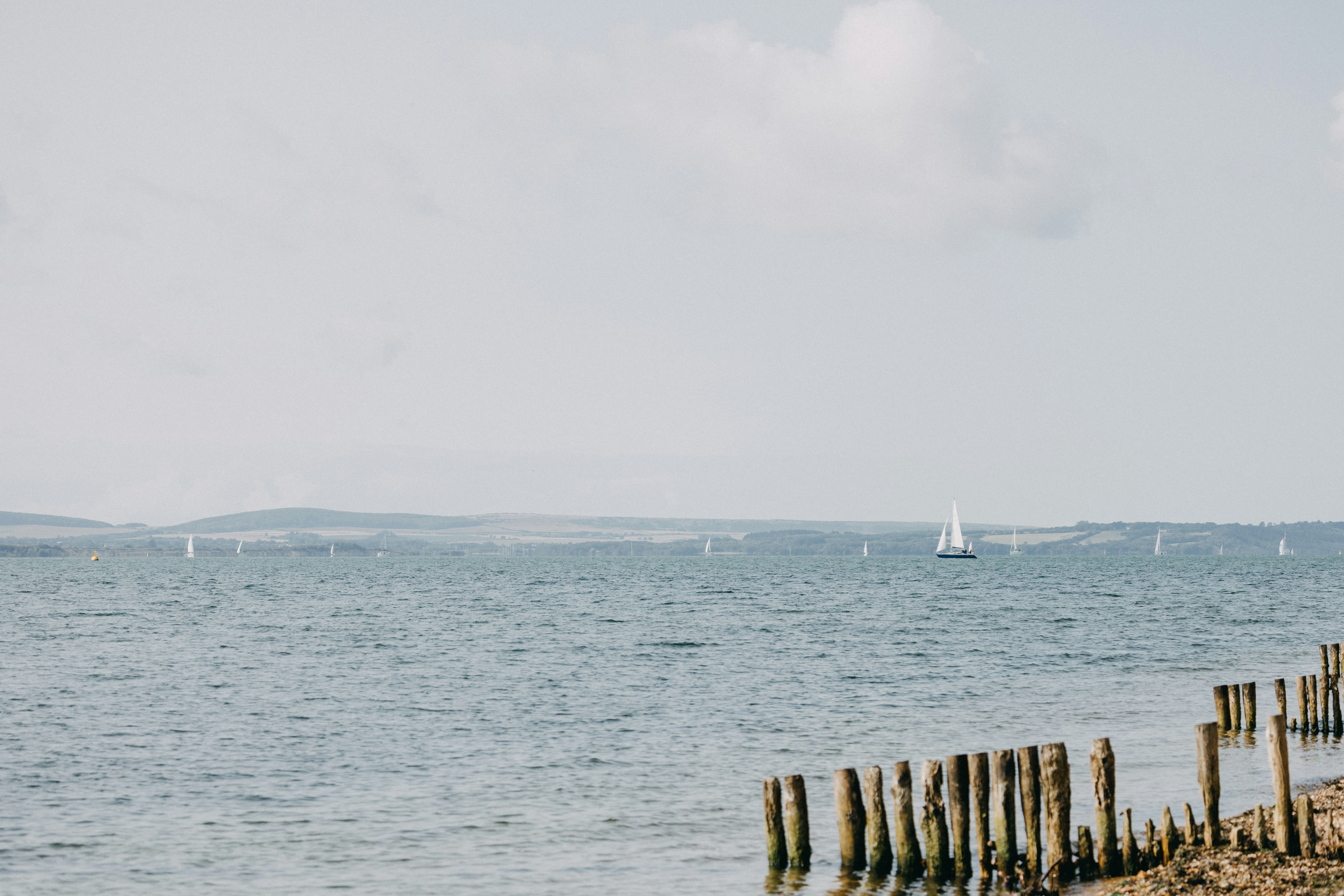 Photo by anniespratt