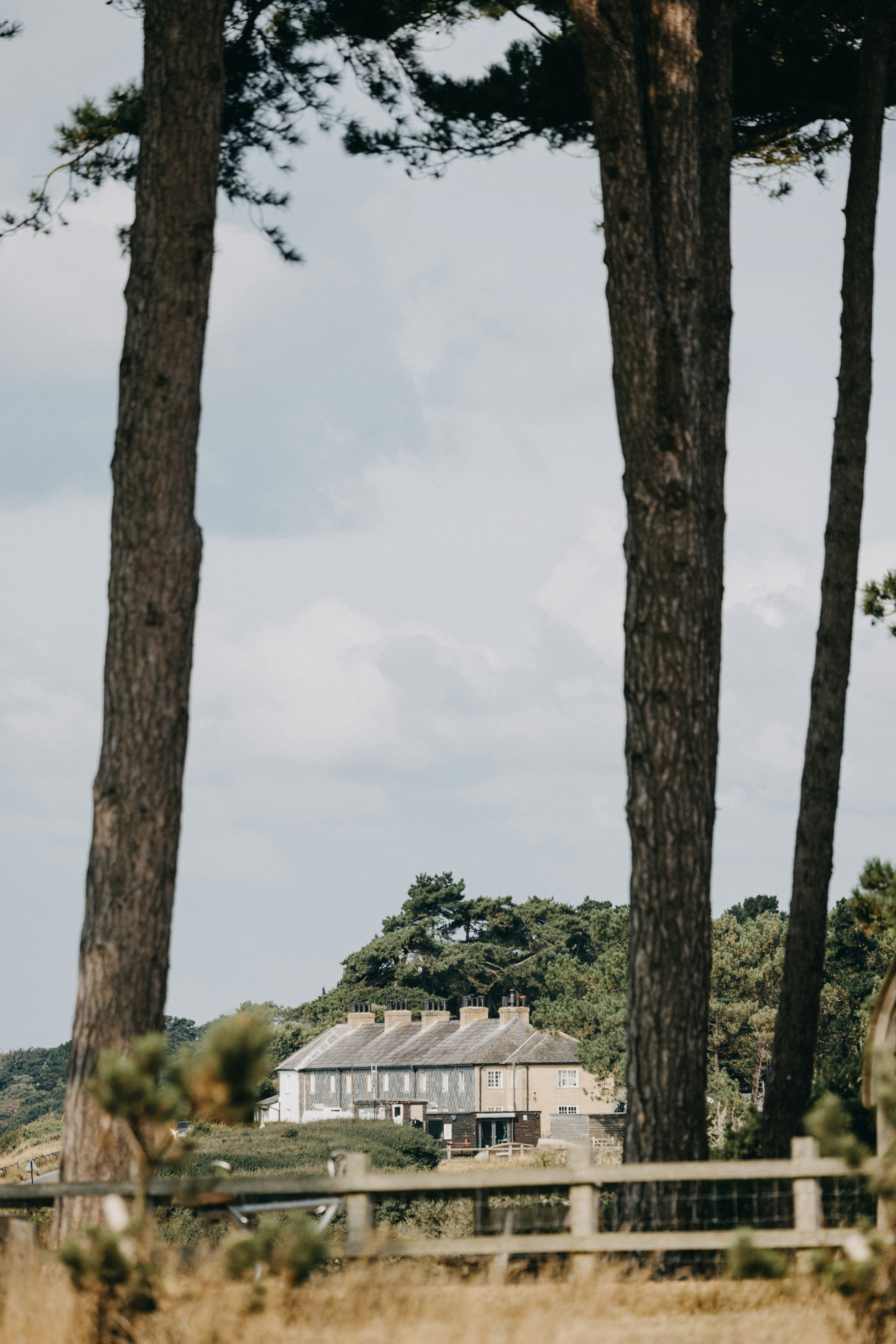 Photo by anniespratt