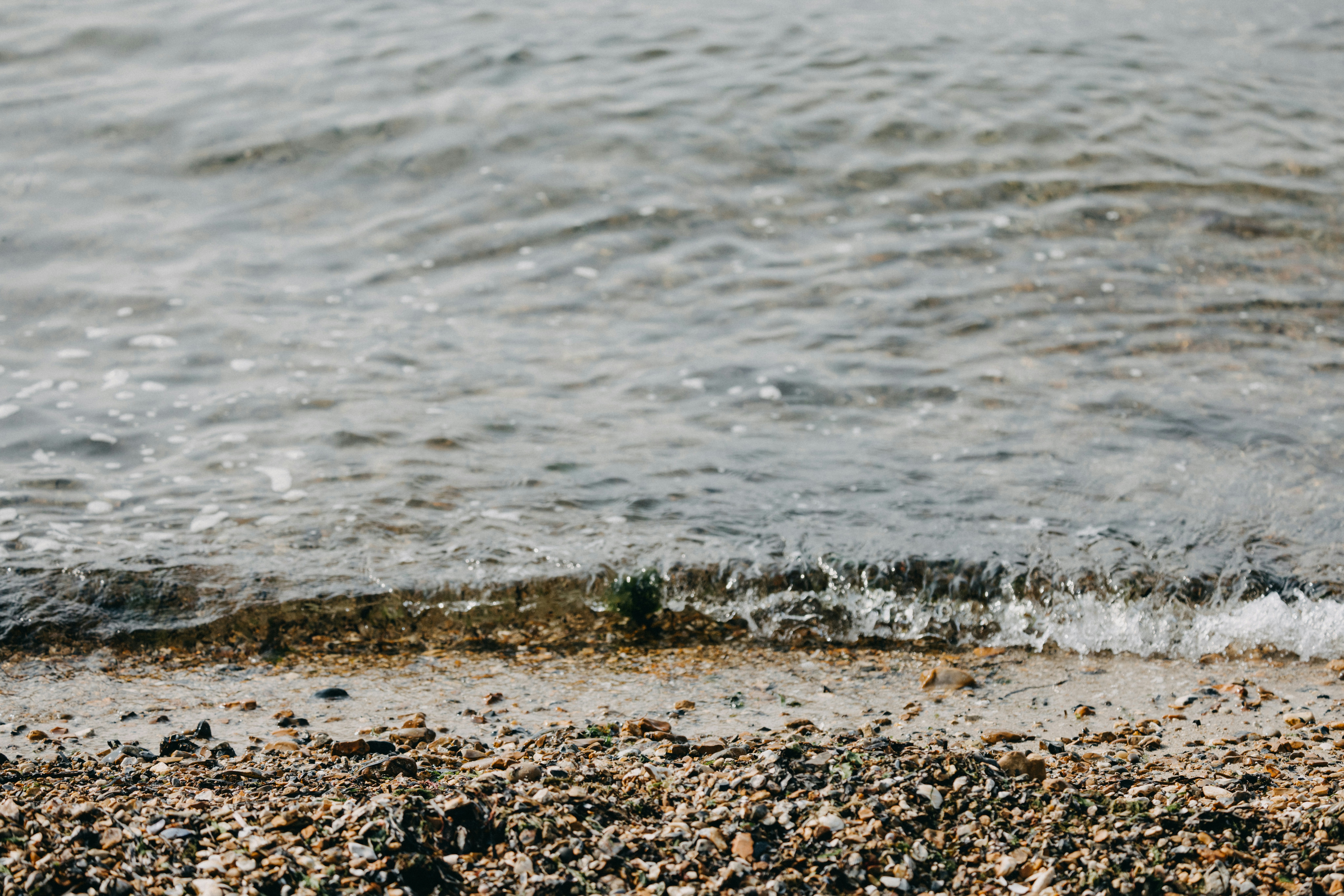 Photo by anniespratt