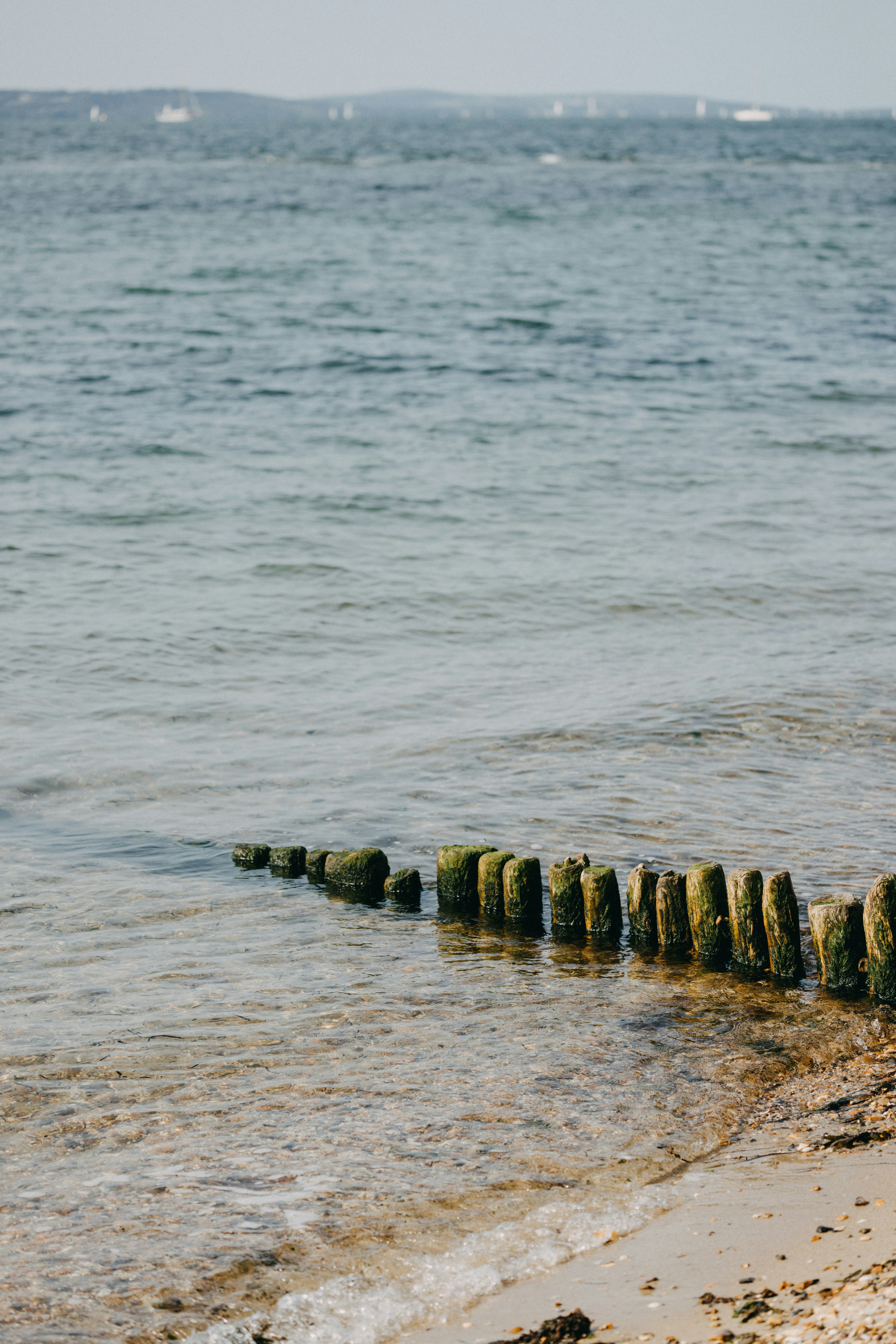 Photo by anniespratt