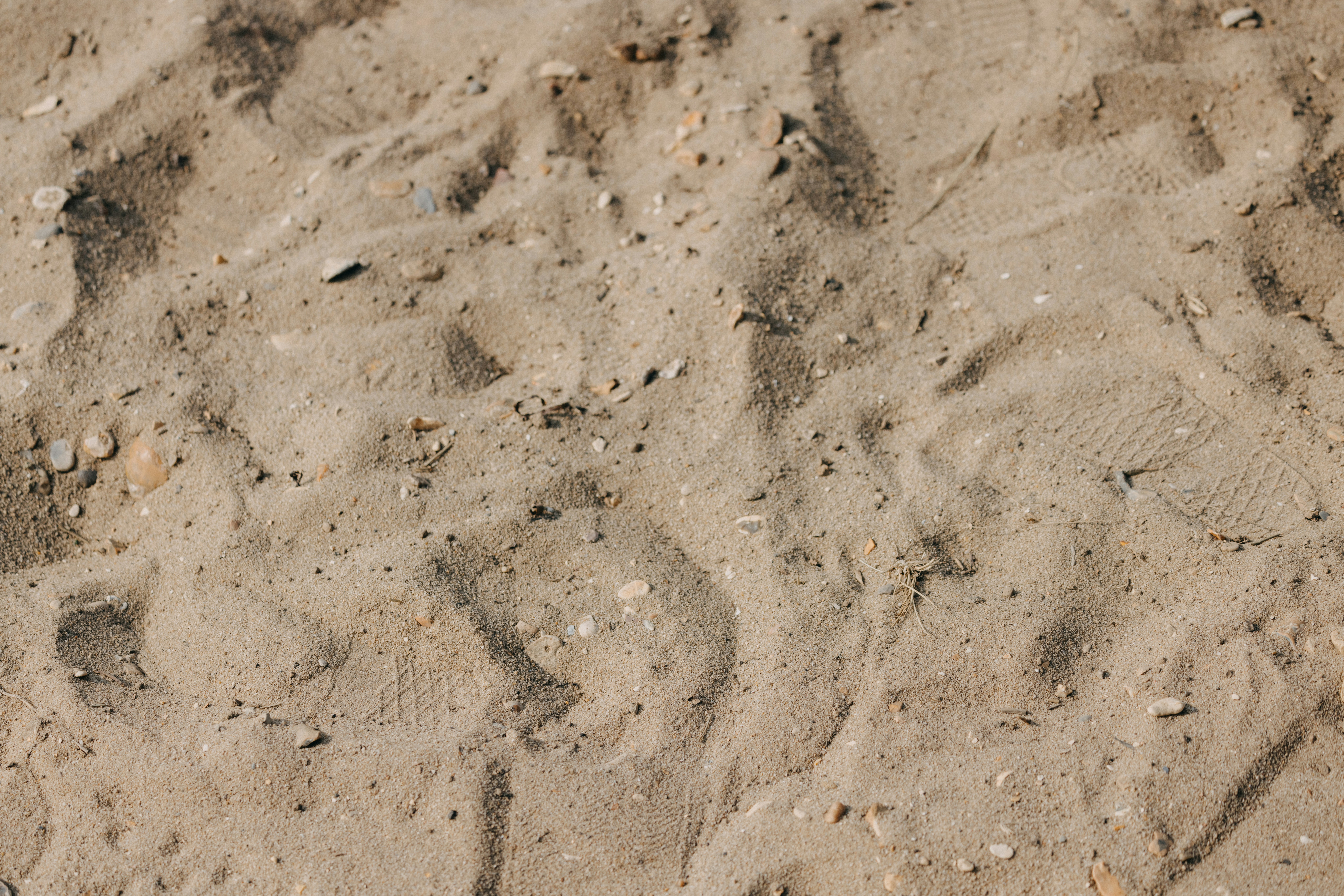 Photo by anniespratt